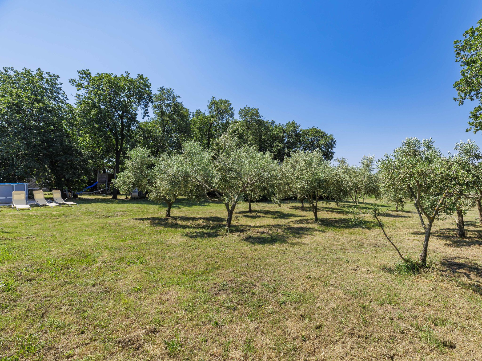 Photo of Fameja