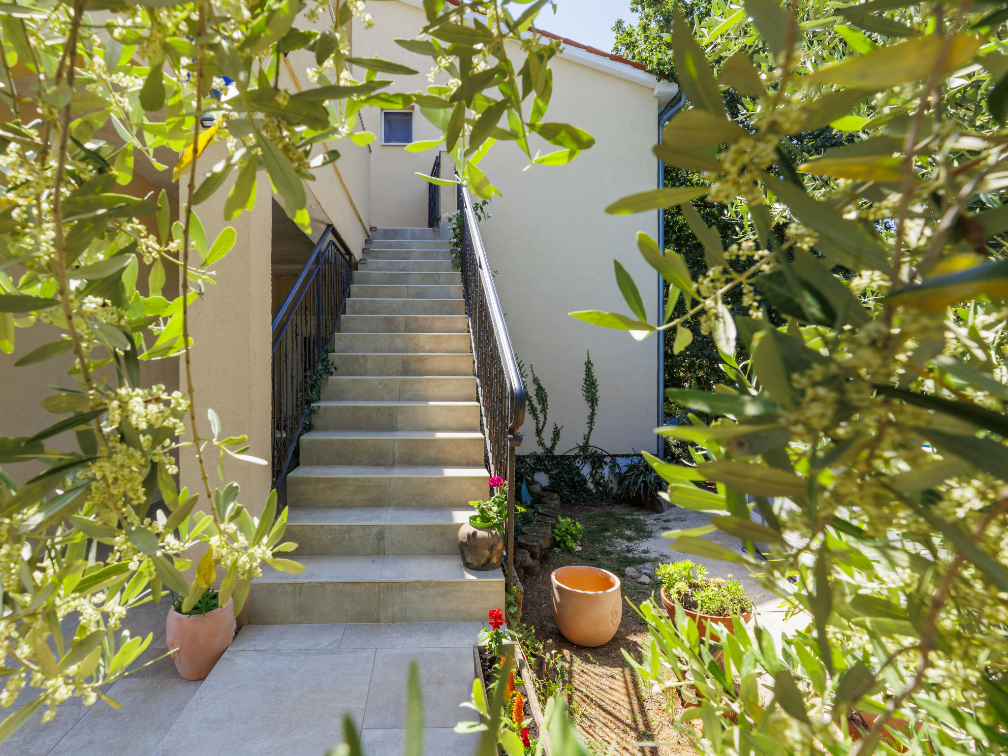 Photo of Fameja