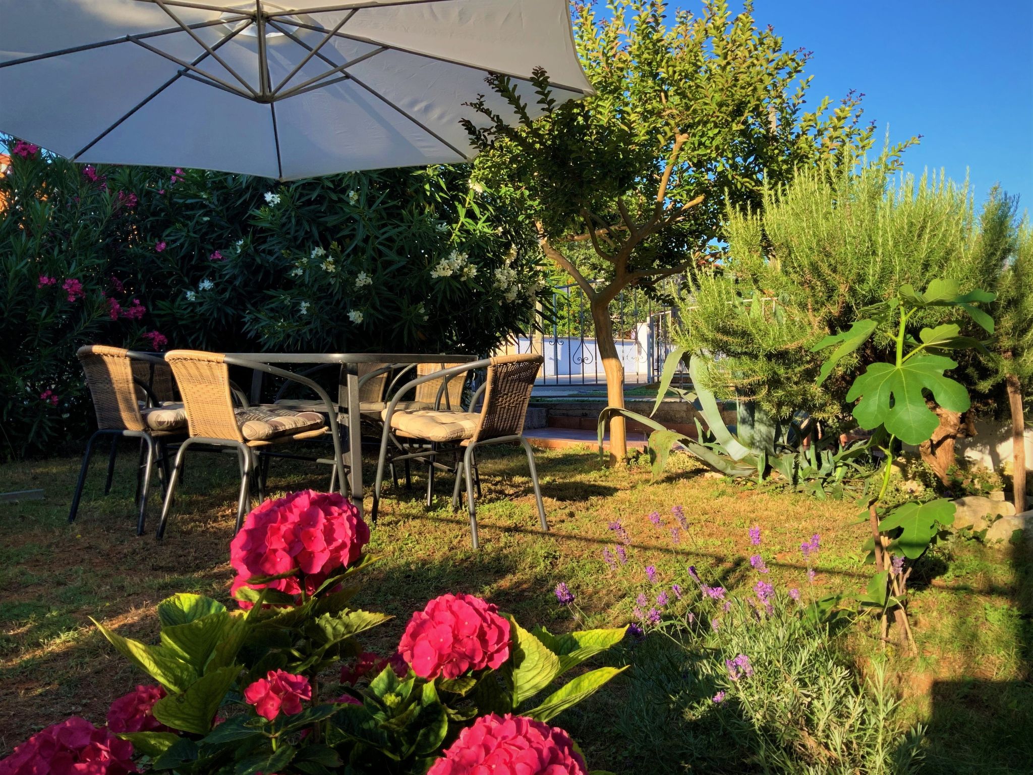 Wunderschöne Ferienwohnung in Ližnjan mit Garten, Grill und Terrasse-Dehors