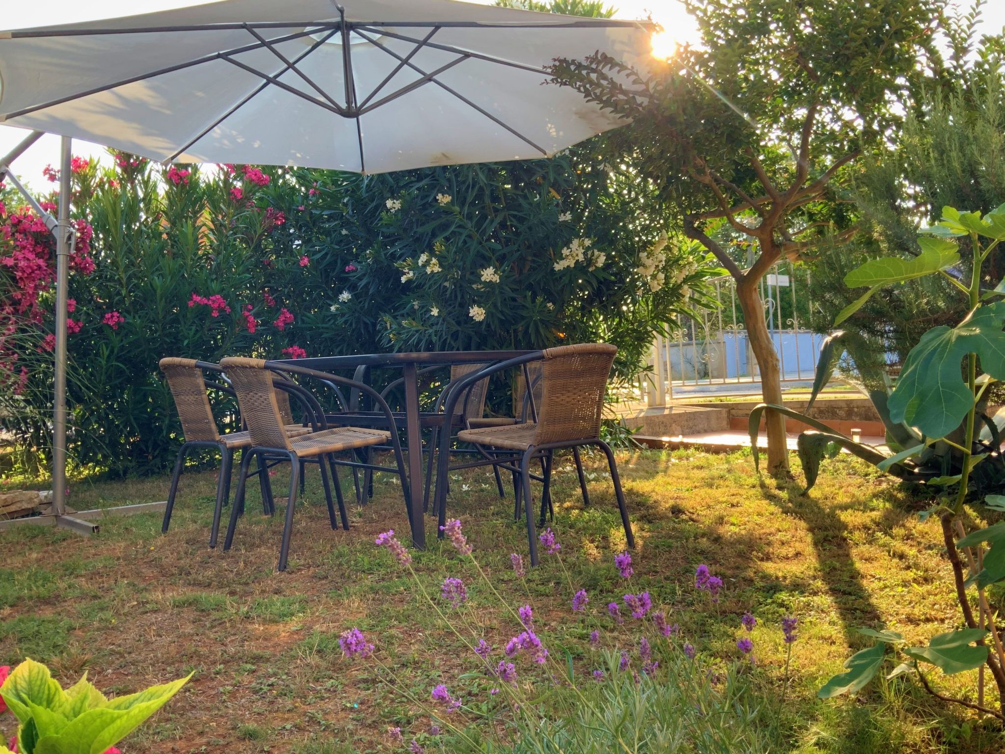 Wunderschöne Ferienwohnung in Ližnjan mit Garten, Grill und Terrasse-Dehors