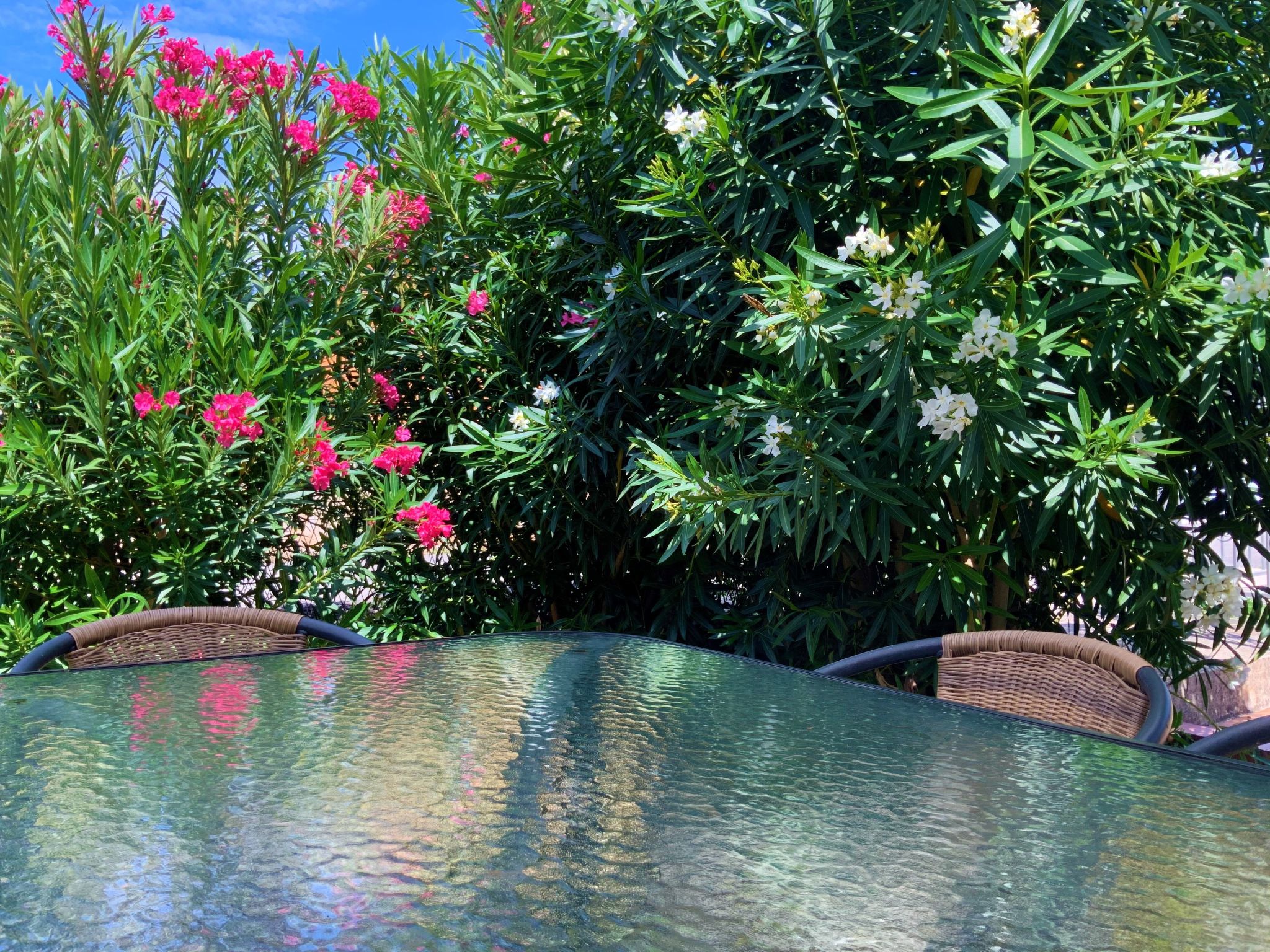 Wunderschöne Ferienwohnung in Ližnjan mit Garten, Grill und Terrasse-Dehors