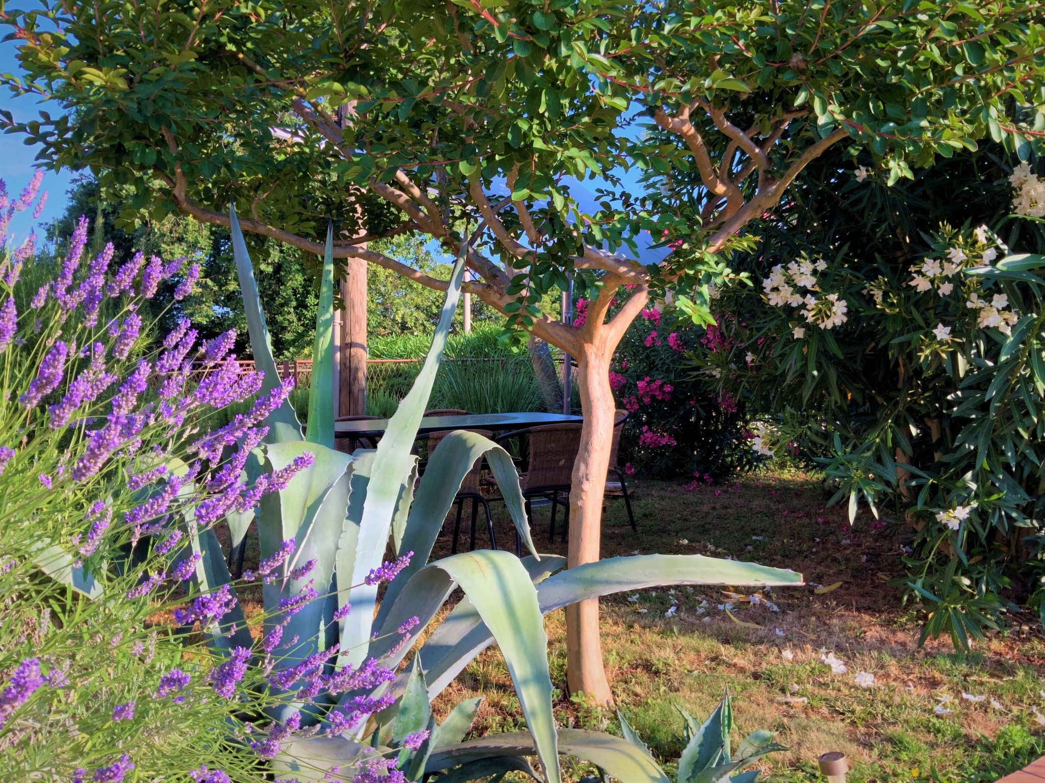 Wunderschöne Ferienwohnung in Ližnjan mit Garten, Grill und Terrasse-Dehors