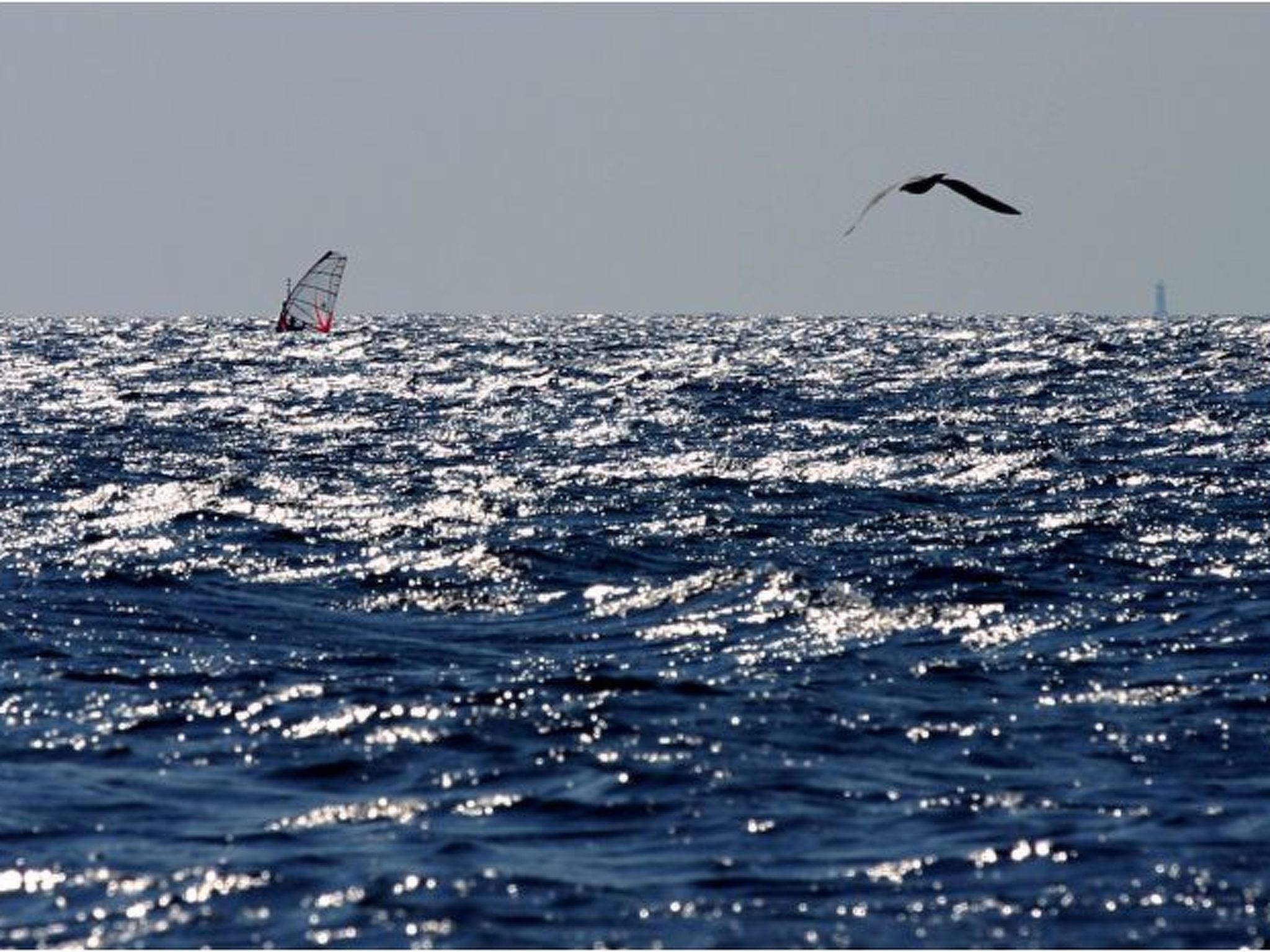 Erdgeschosswohnung für 7 Personen-Image-tags.info