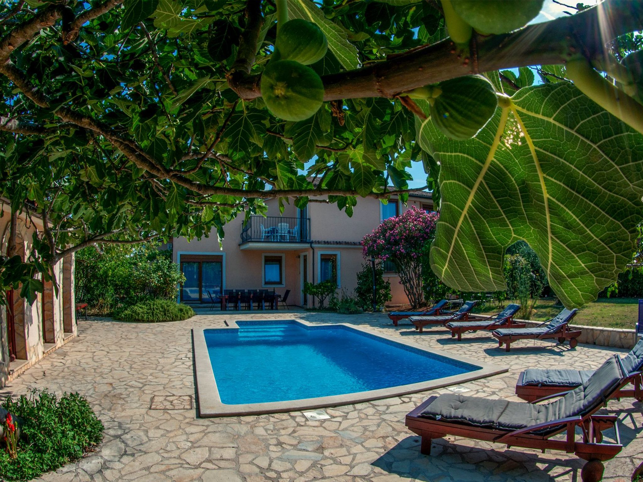 Erdgeschosswohnung für 7 Personen-Image-tags.info