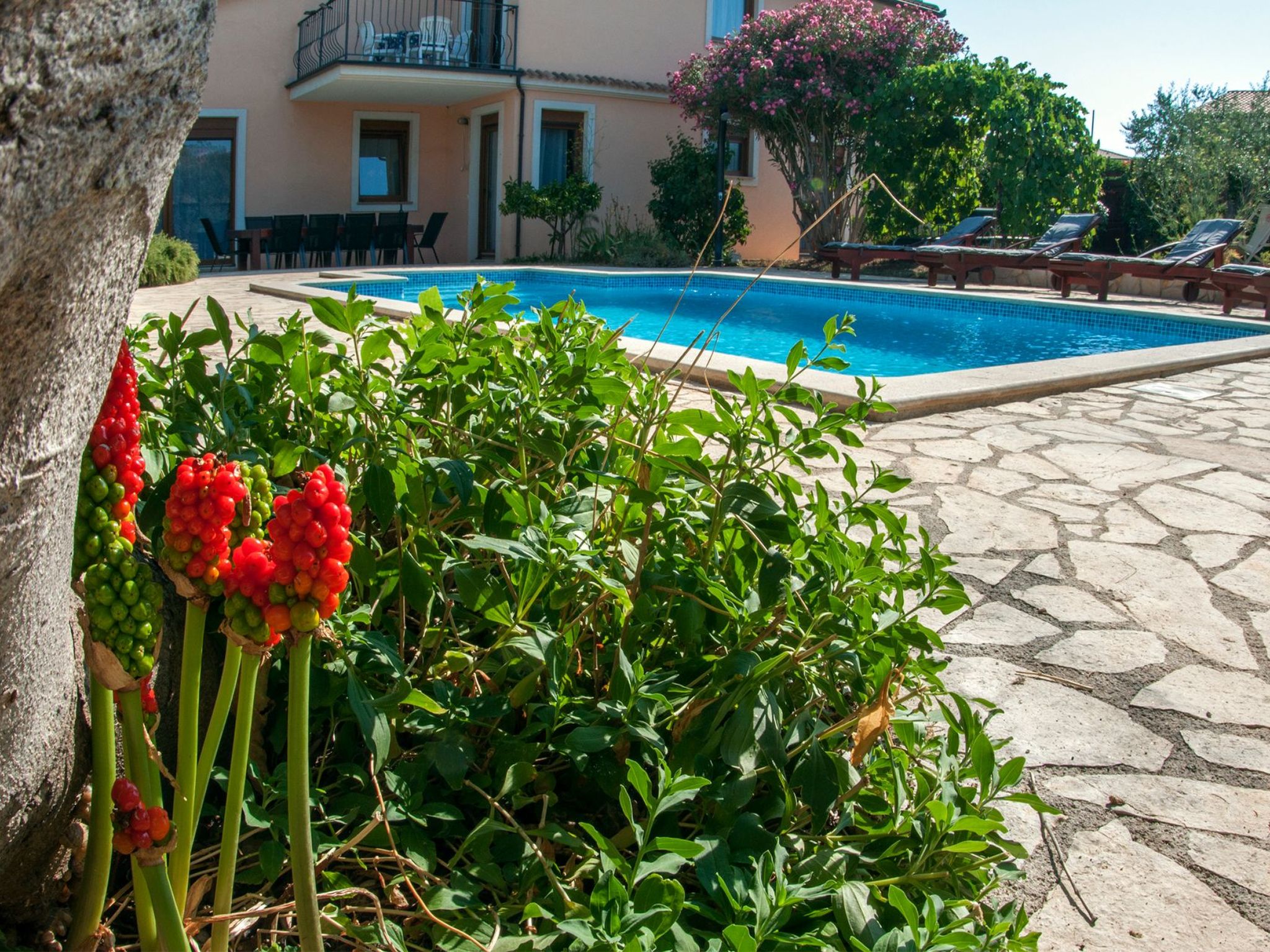 Erdgeschosswohnung für 7 Personen-Image-tags.info