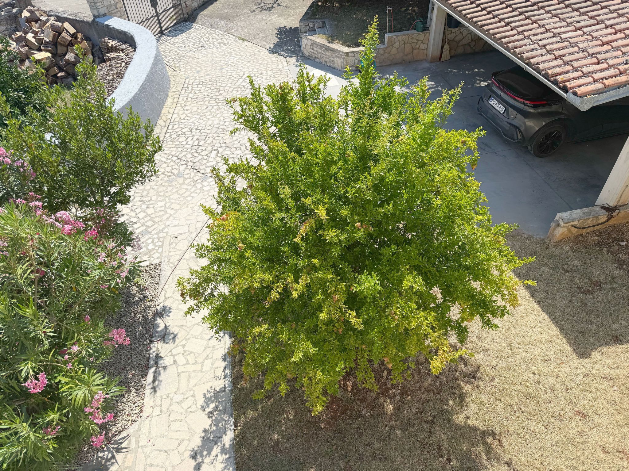 LacoDeLama mini resort - Wohnung Pina mit Pool-Binnen