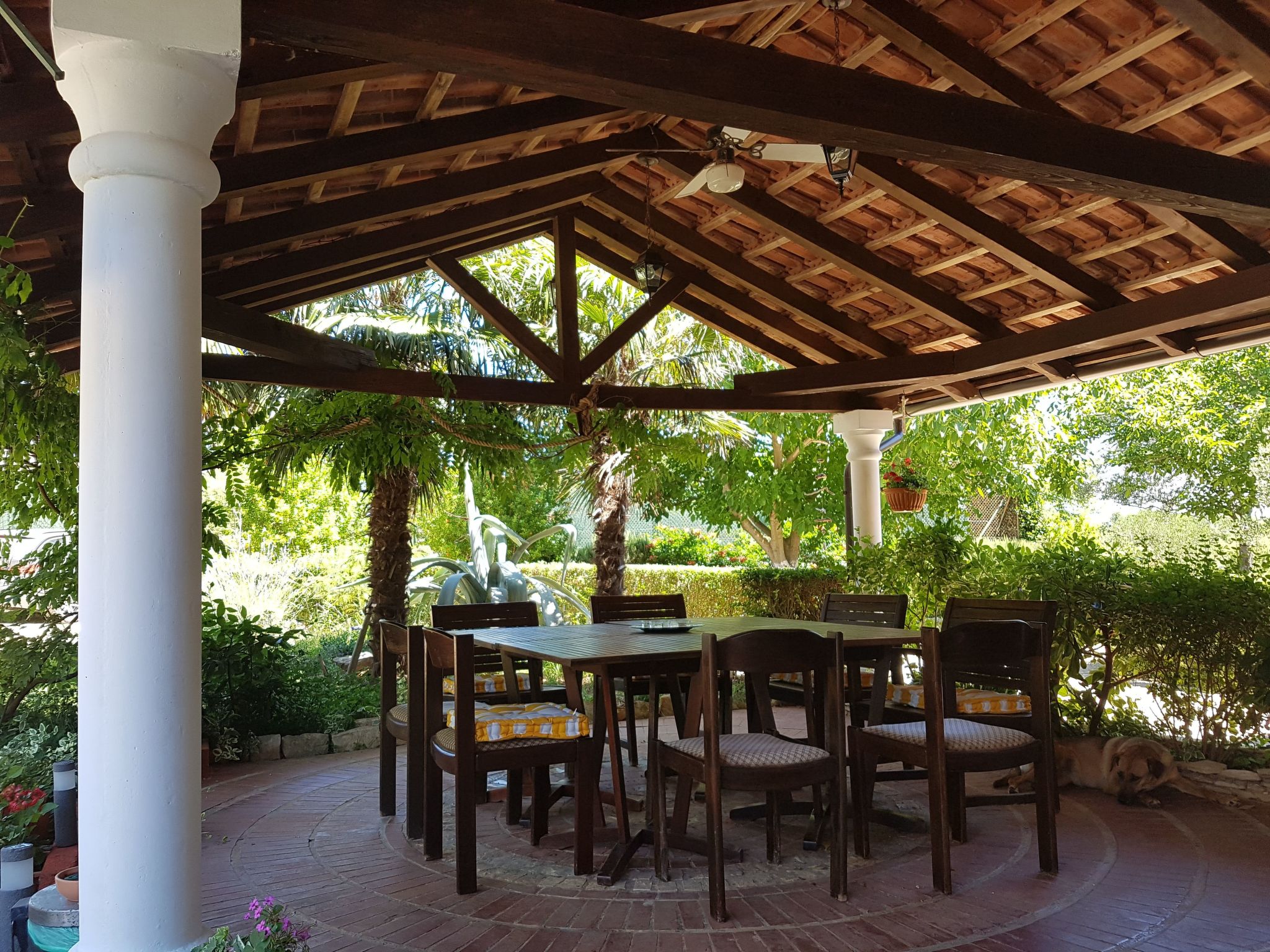 Ganze Wohnung in Ližnjan mit Möbliertem Balkon Villa in Liznjan