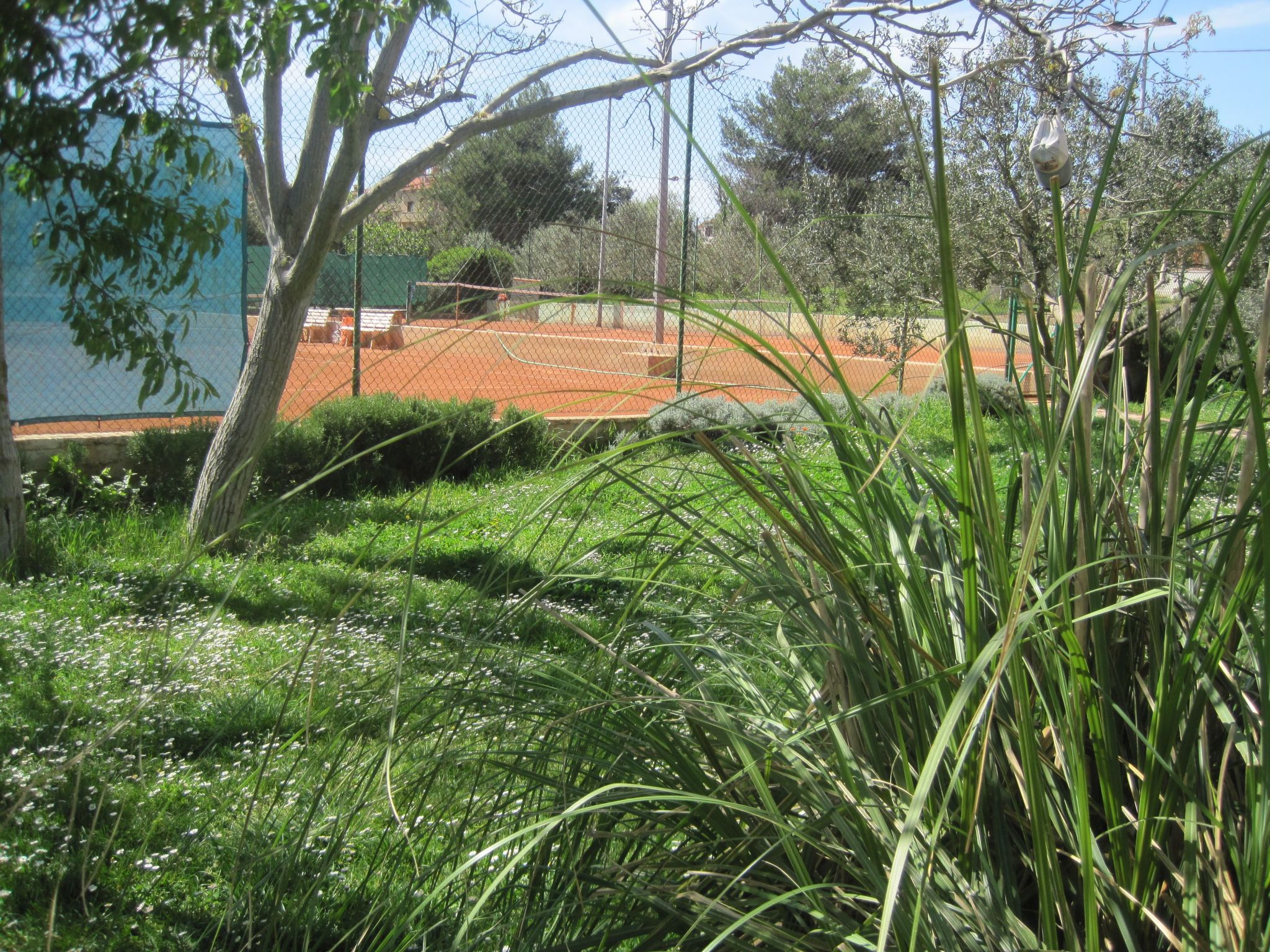Ferienwohnung-Binnen
