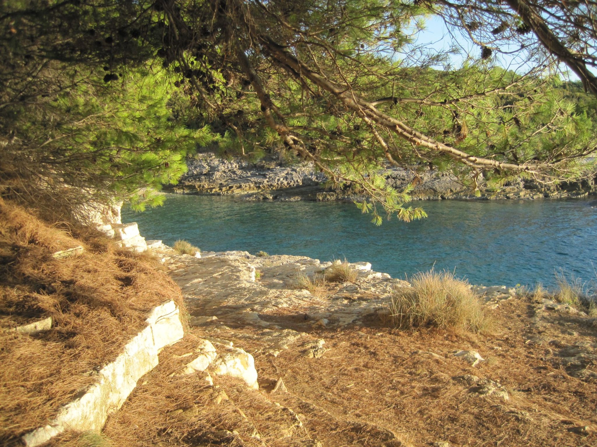 Ferienwohnung-Binnen