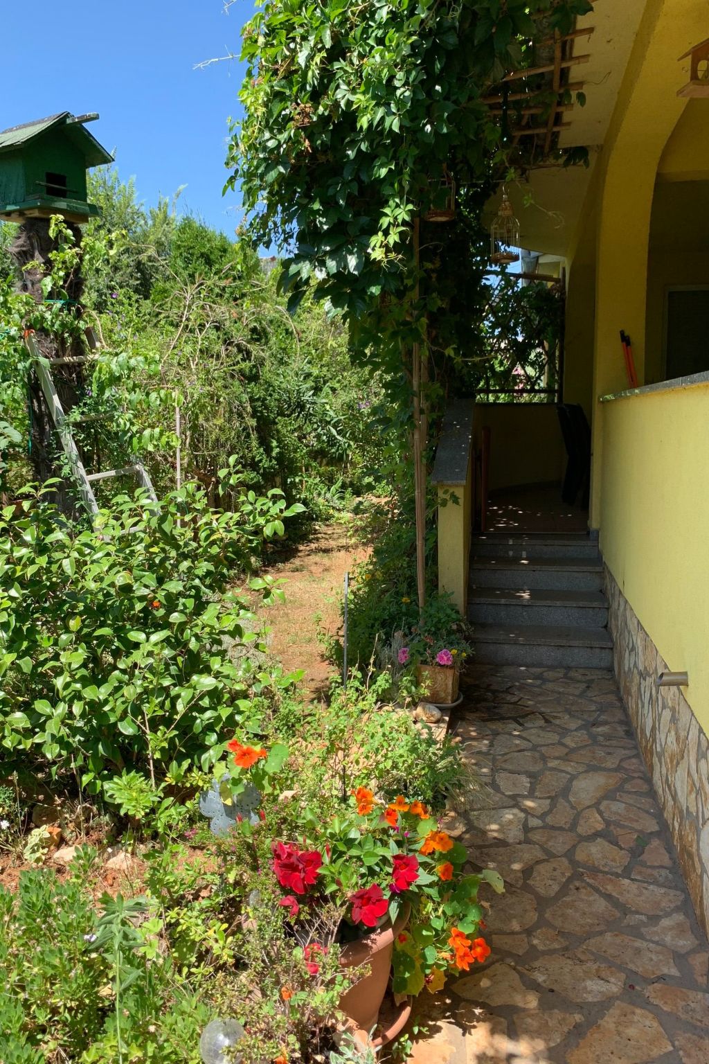 Photo of Große Ferienwohnung in Ližnjan mit Offenem Kamin