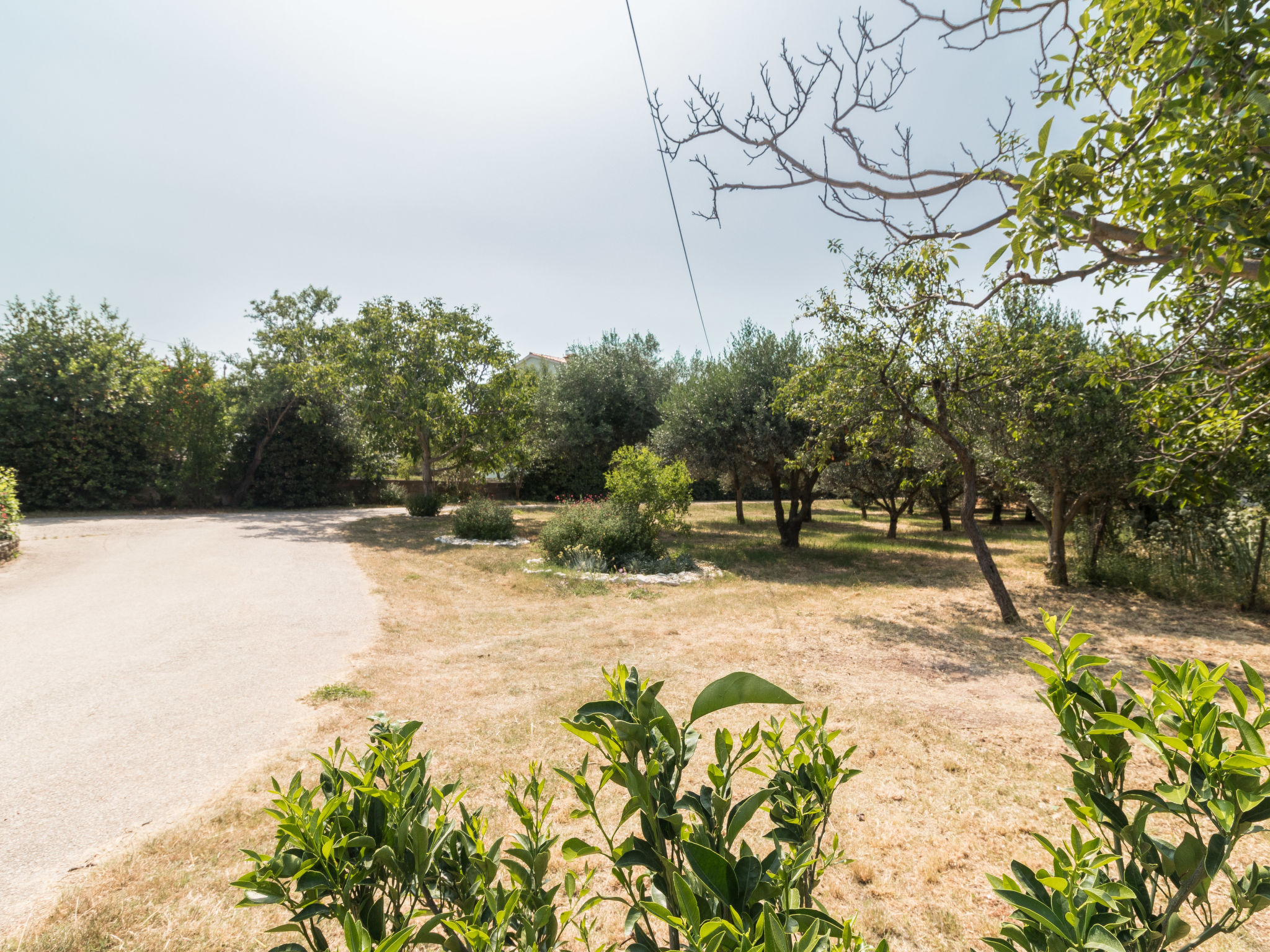 Photo of Apartment 1706