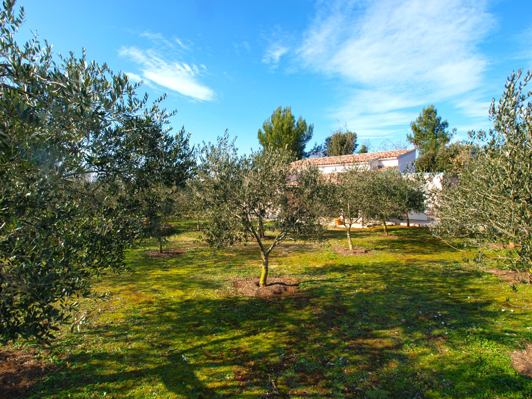 House 1801 Apartment in Liznjan