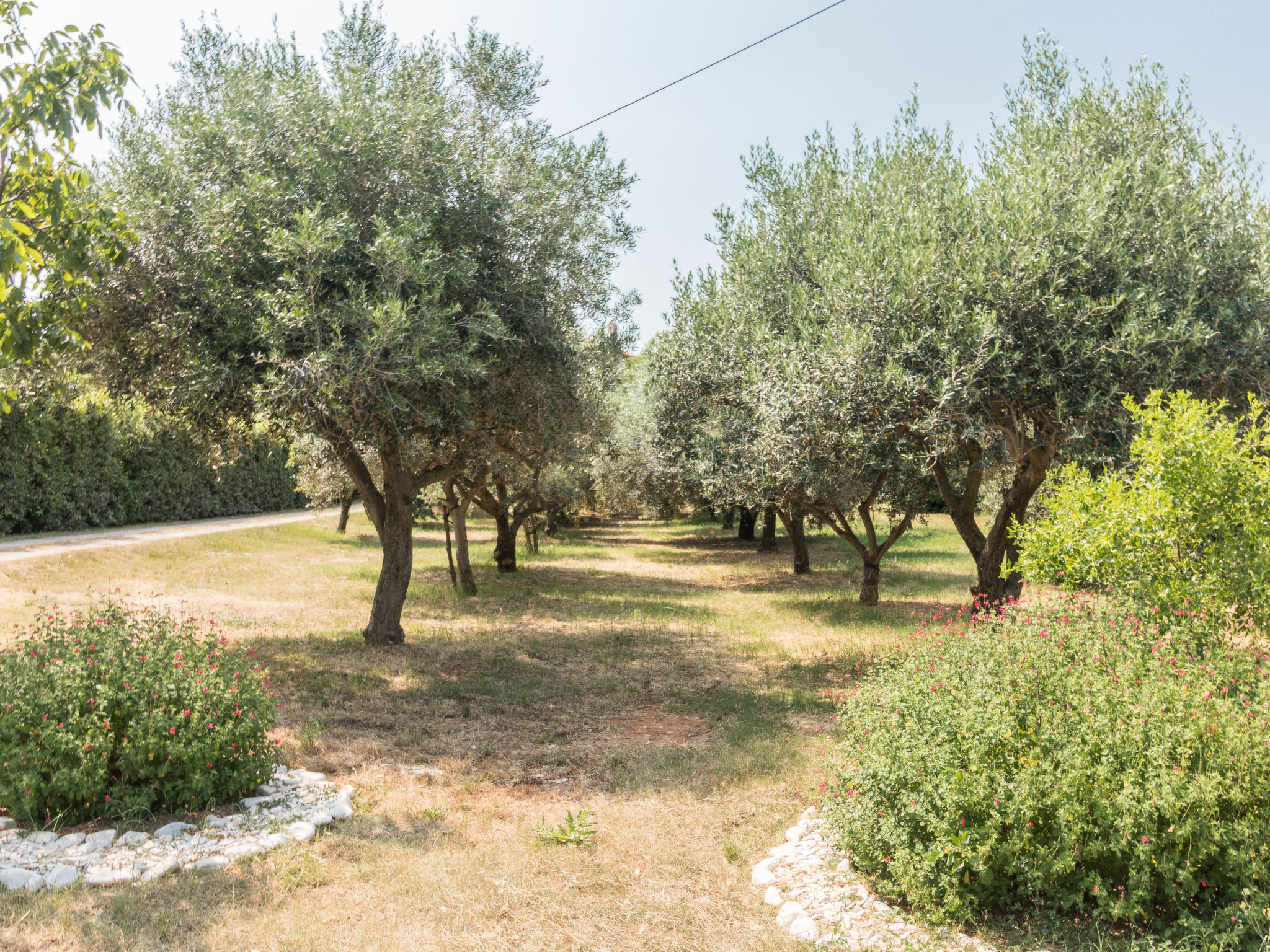 Photo of Apartment 1706