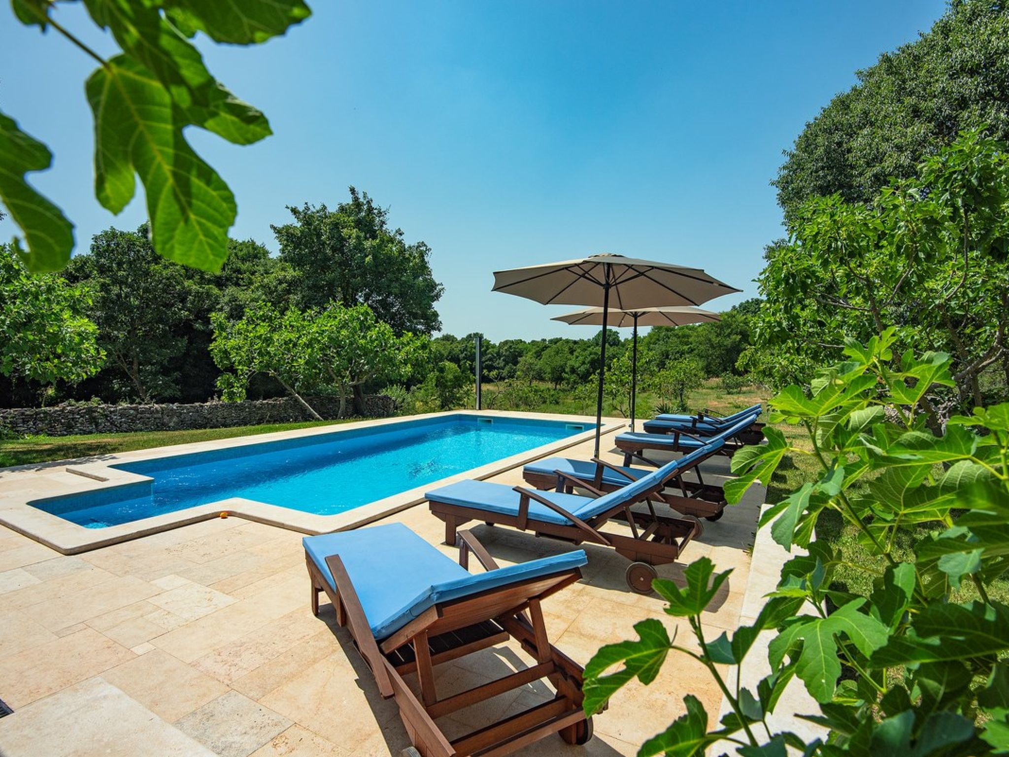 Photo of Villa Altura