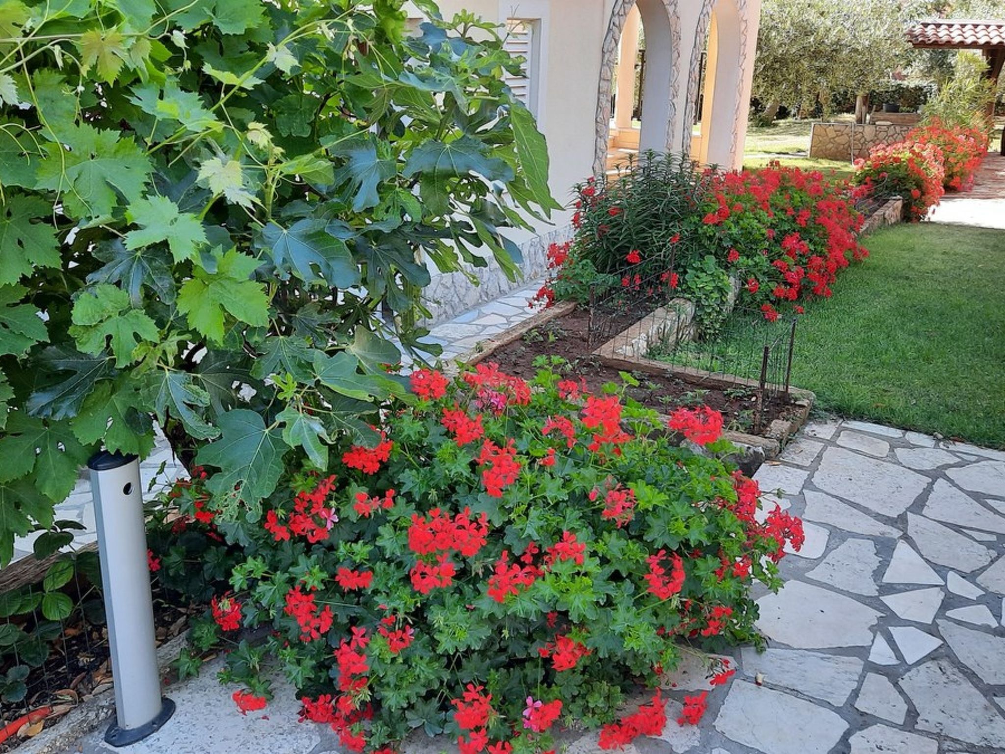 Photo of House Ivonne