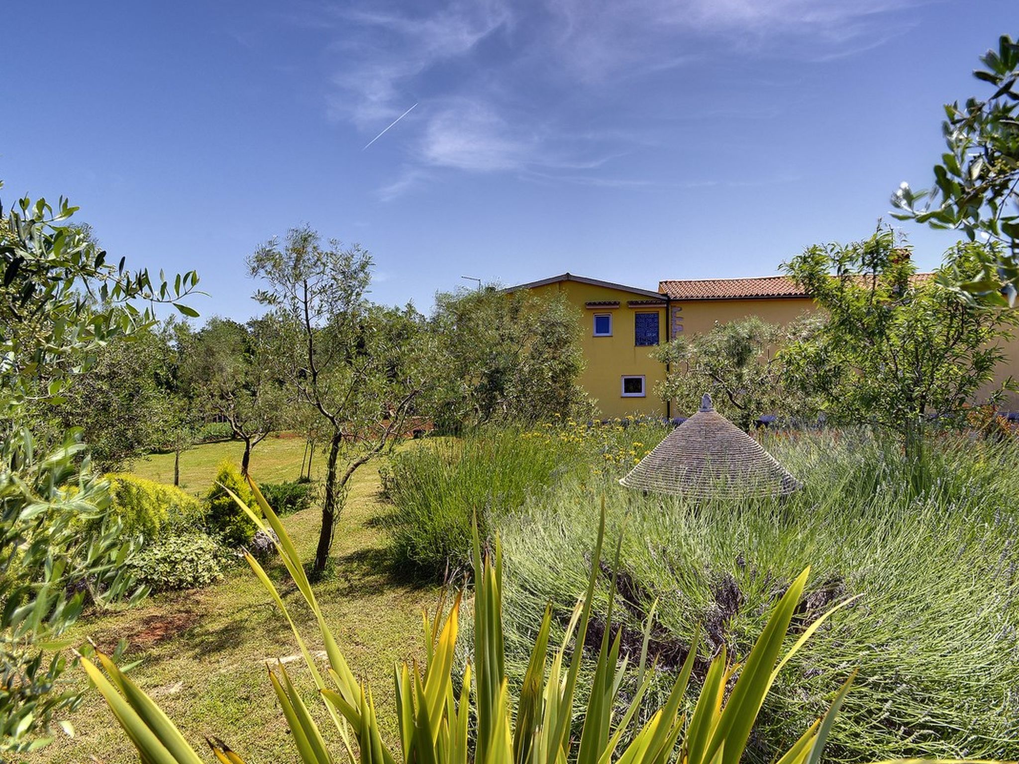 Photo of Casa Martina