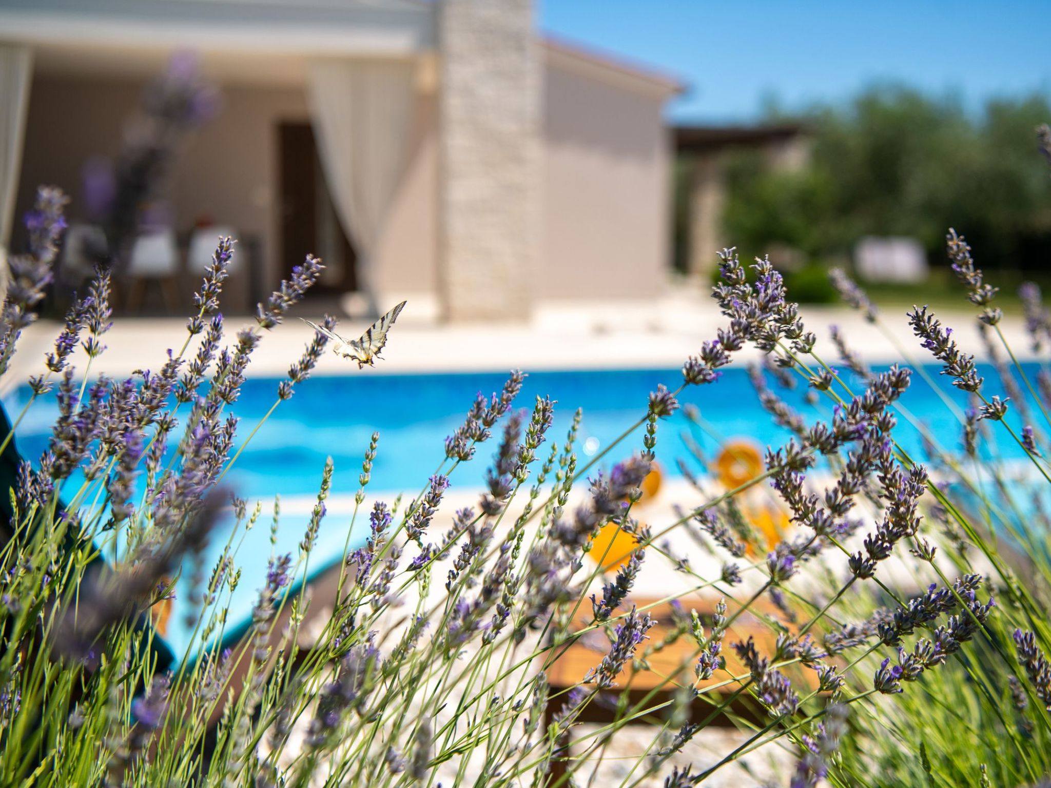 Villa Silentio - Ruhe und Privatsphäre in mediterraner Natur in Strandnähe - Image-tags.info