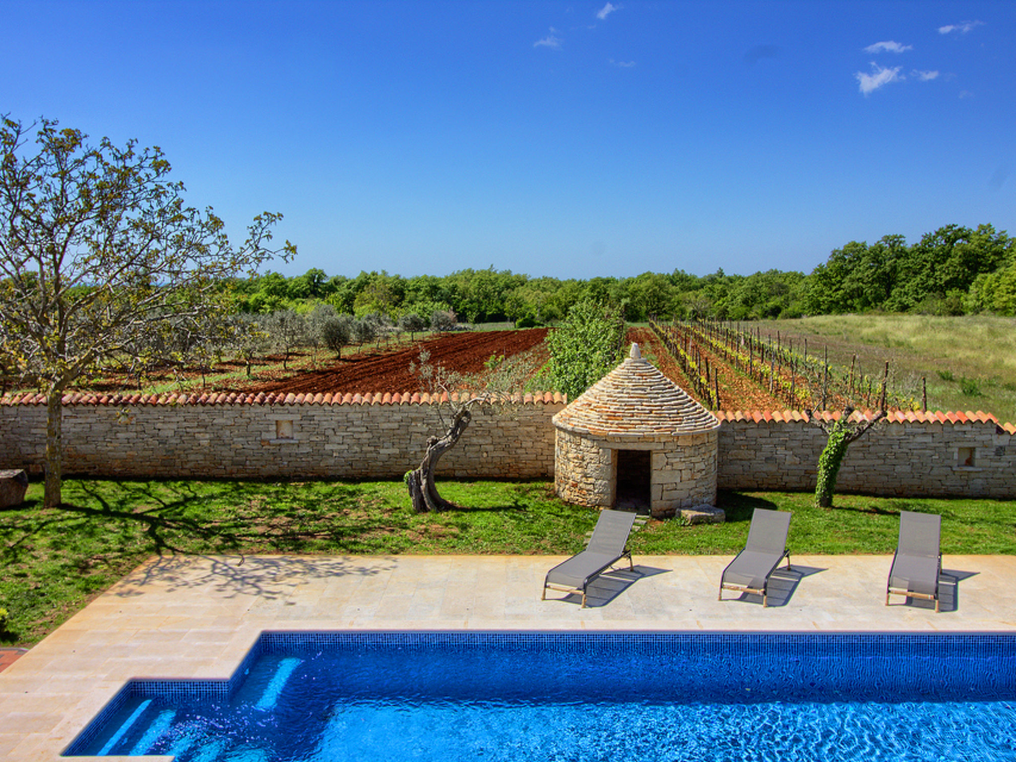 Photo of Villa Orbanici