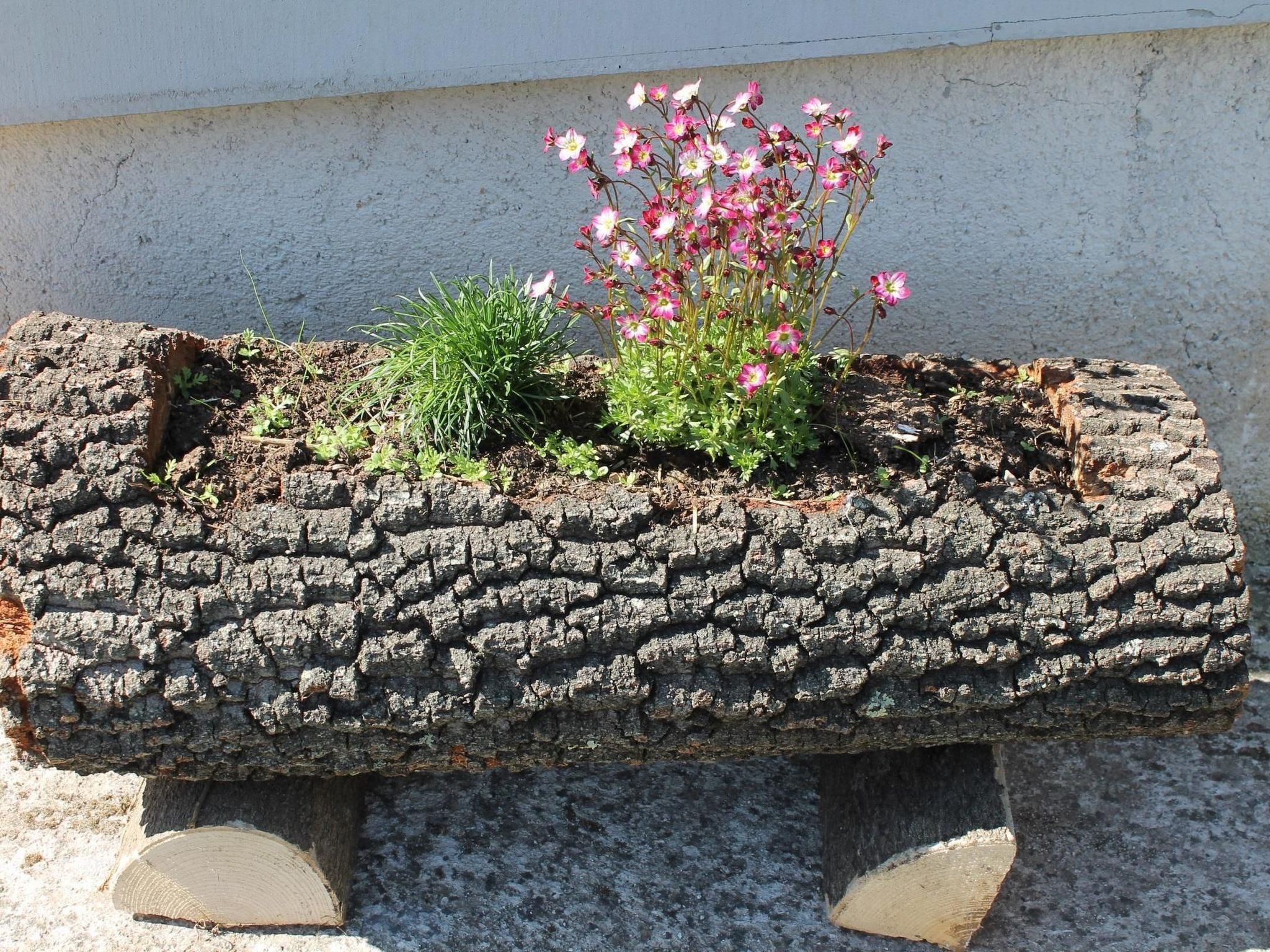 Apartment Fuma in Pinezići mit Privatem Balkon-Image-tags.info