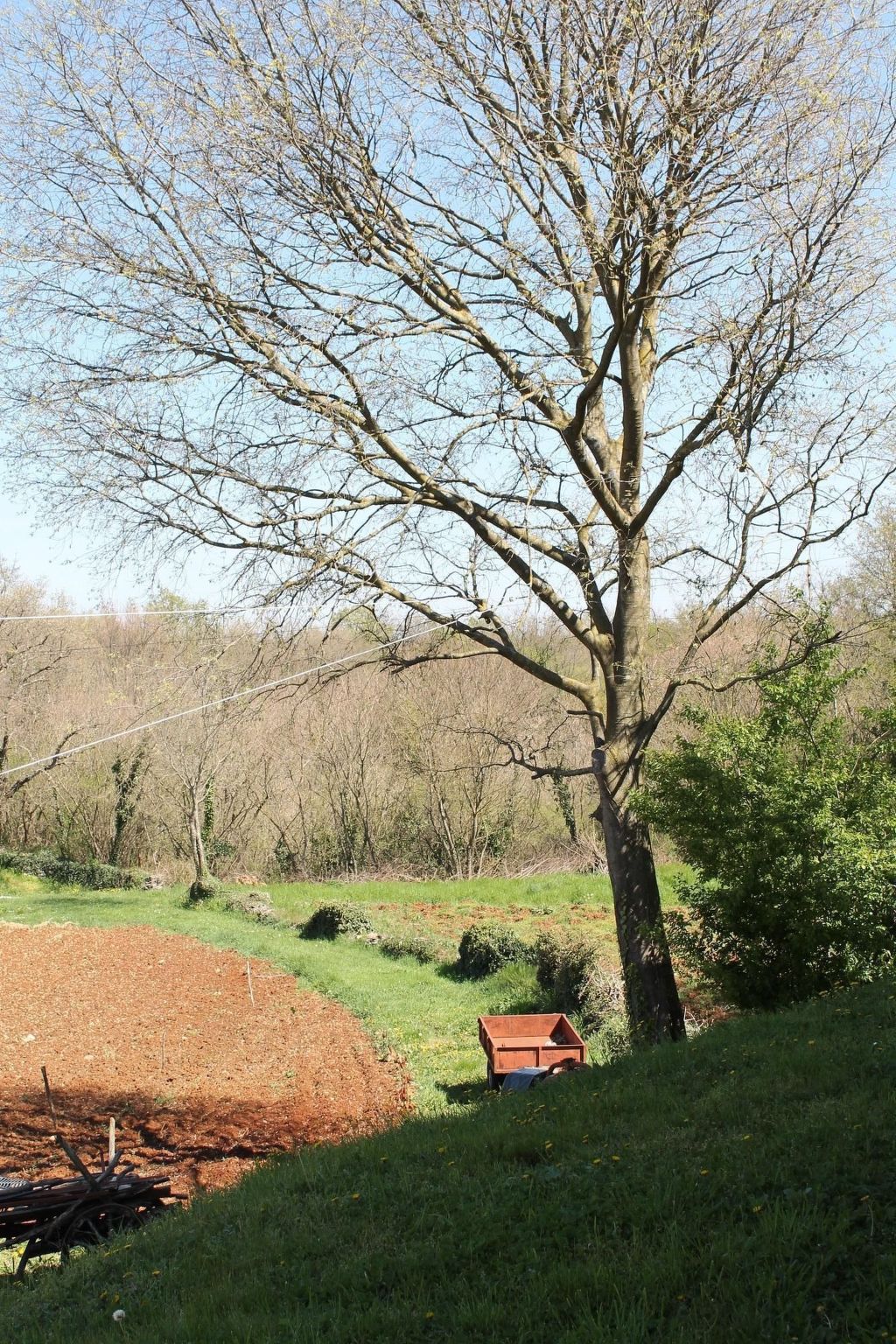 Apartment Fuma in Pinezići mit Privatem Balkon-Image-tags.info