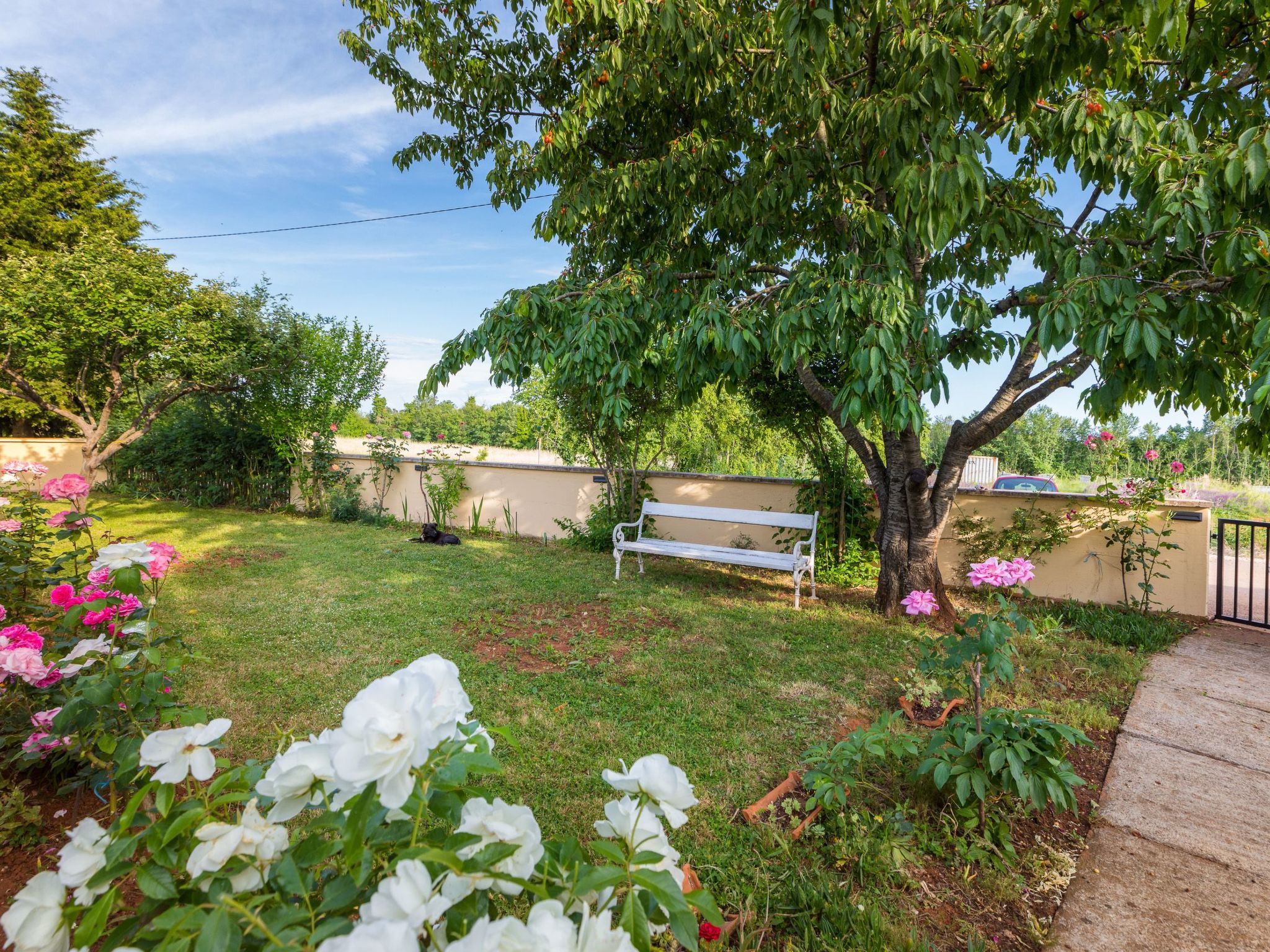 Haus "Dragica" mit Garten, Terrasse und Grill - Image-tags.info