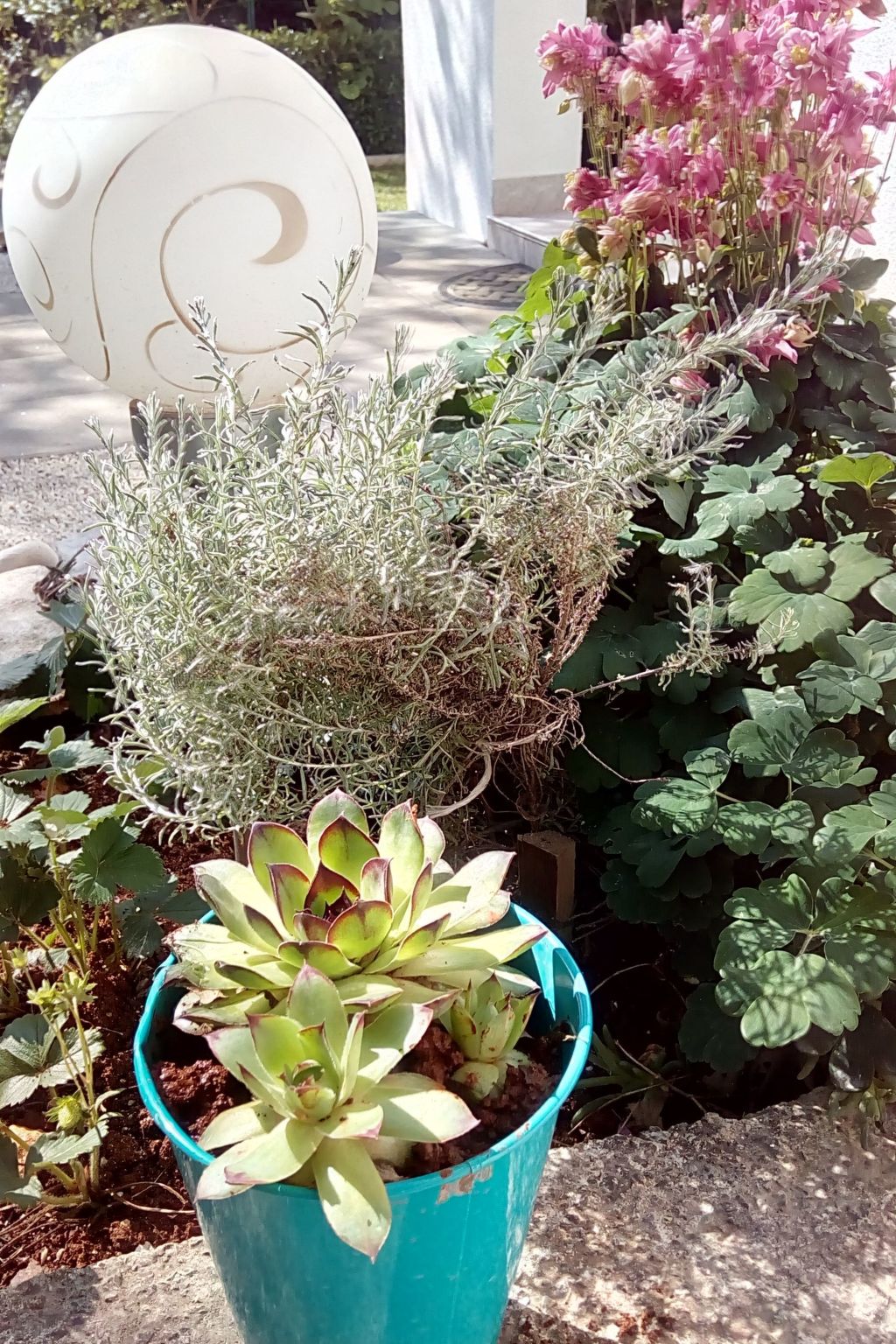 In Pavićini mit Grill, Terrasse und Garten-Image-tags.info