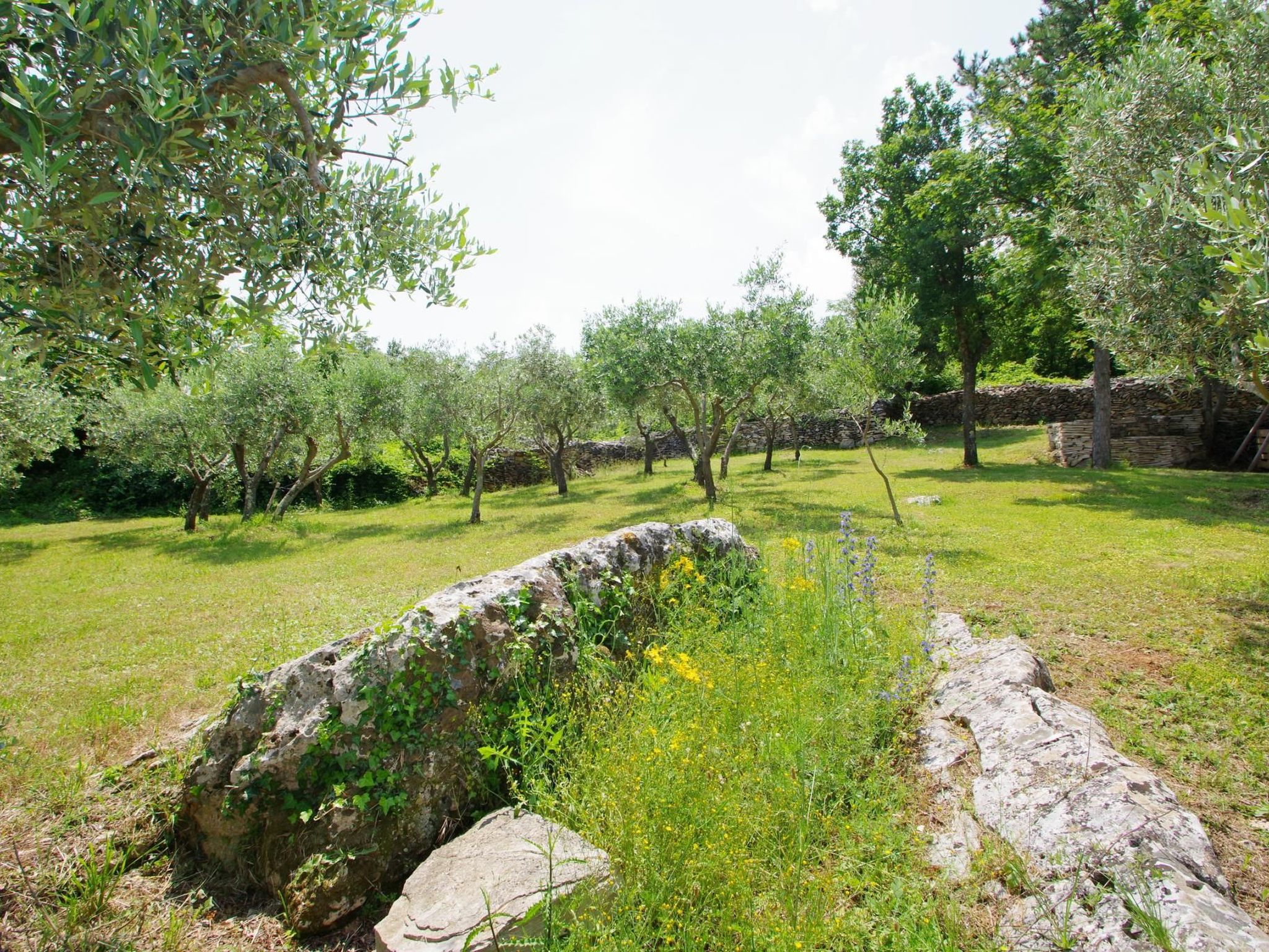 In Rakalj mit privatem Parkplatz-Image-tags.info