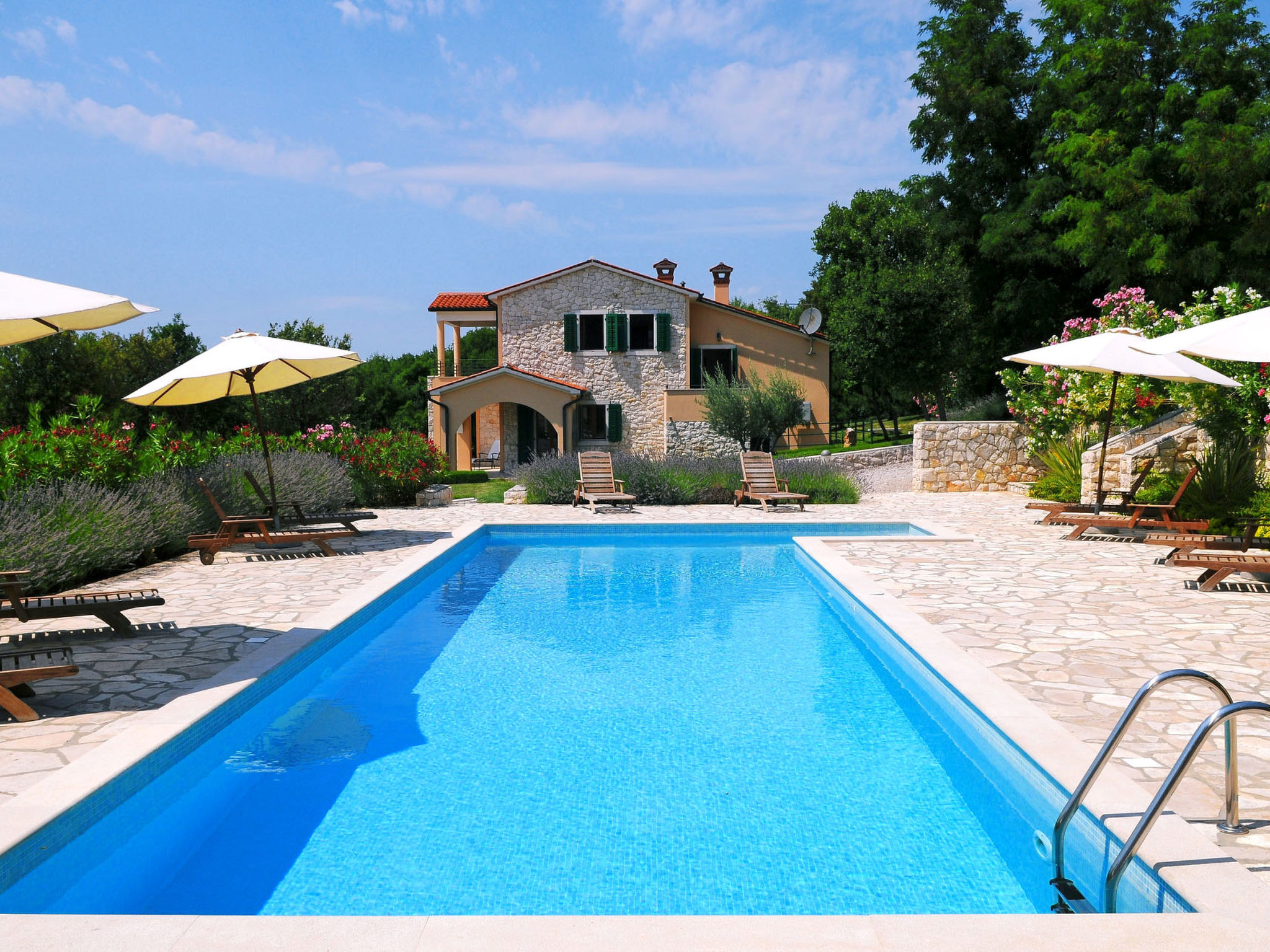 Apartment 1259 - Image-tags.info