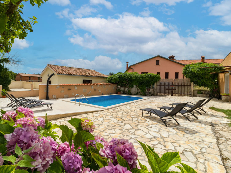 Search and Stay destination Kožljani, Istarska županija - Croatia from AU$ 293. Hortensija (LBN397)