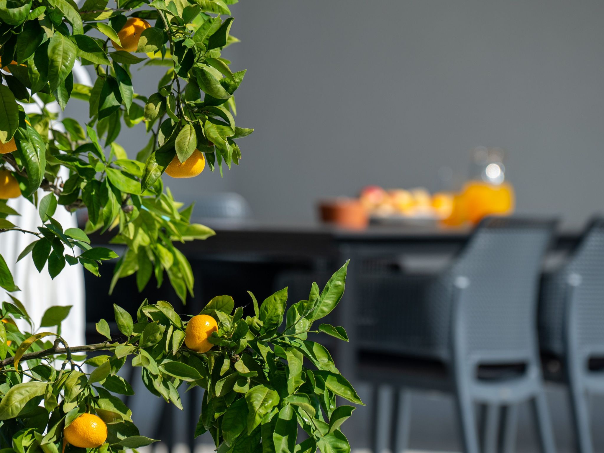 Moderne Villa bei Barban