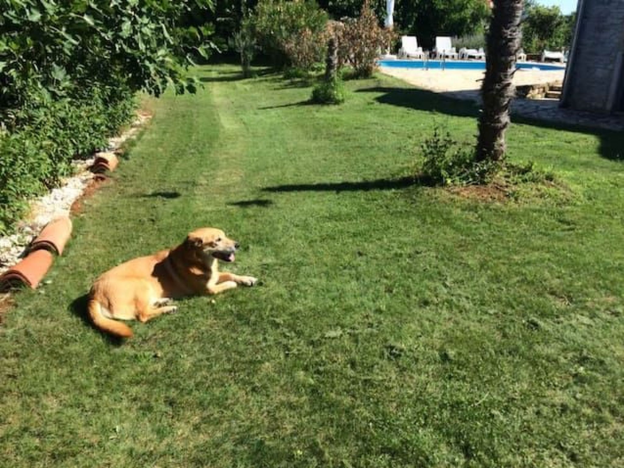 In Bratulići mit Privatem Pool-Dedans