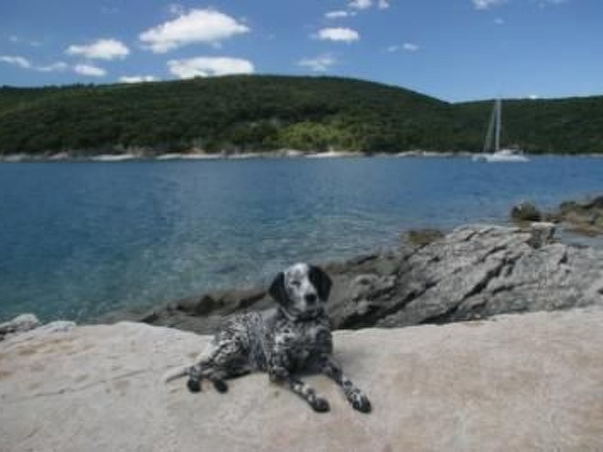 In Bratulići mit Privatem Pool-Dedans