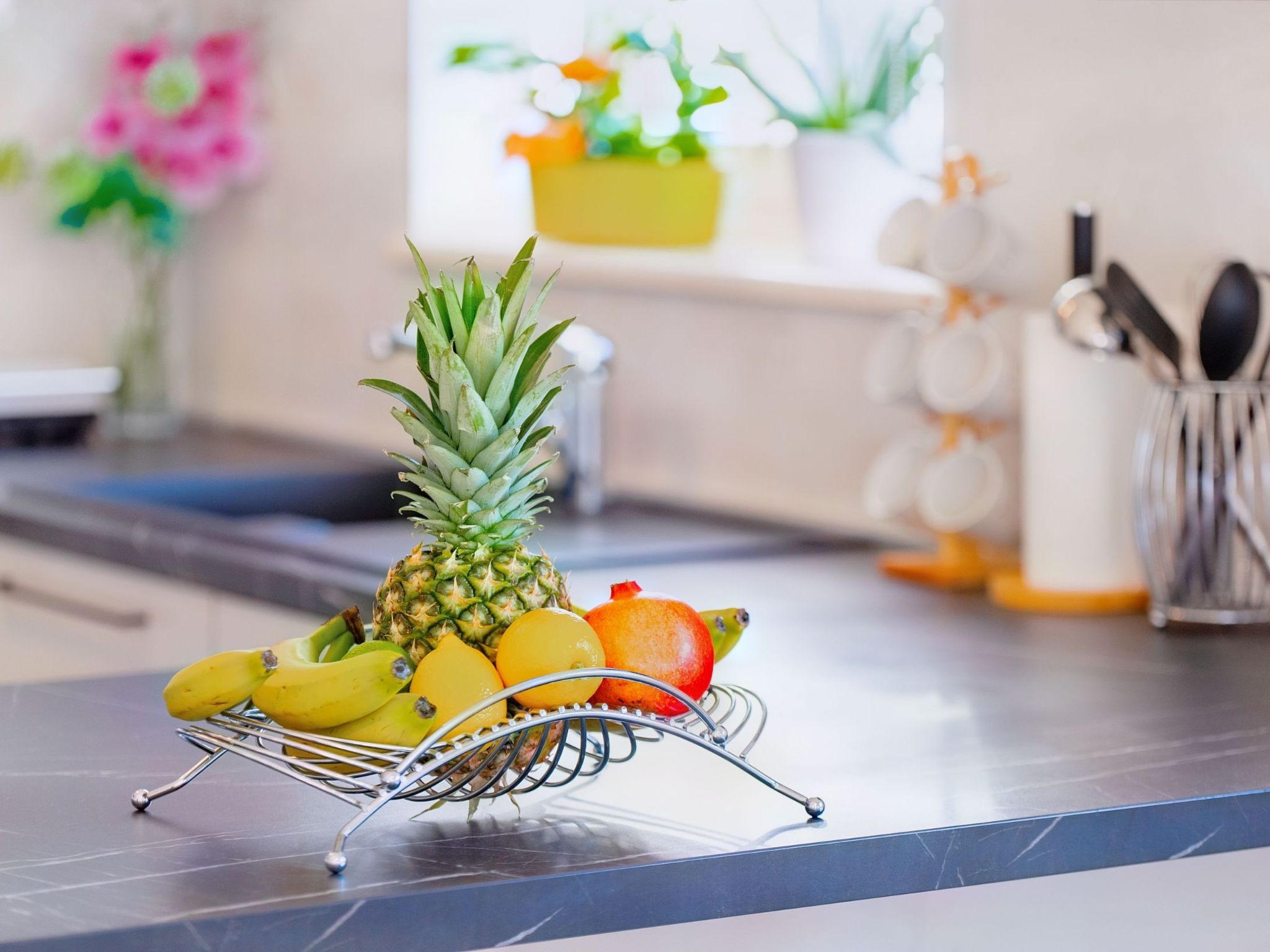 Erholsamer Traumurlaub für bis zu 6 Personen-Image-tags.info