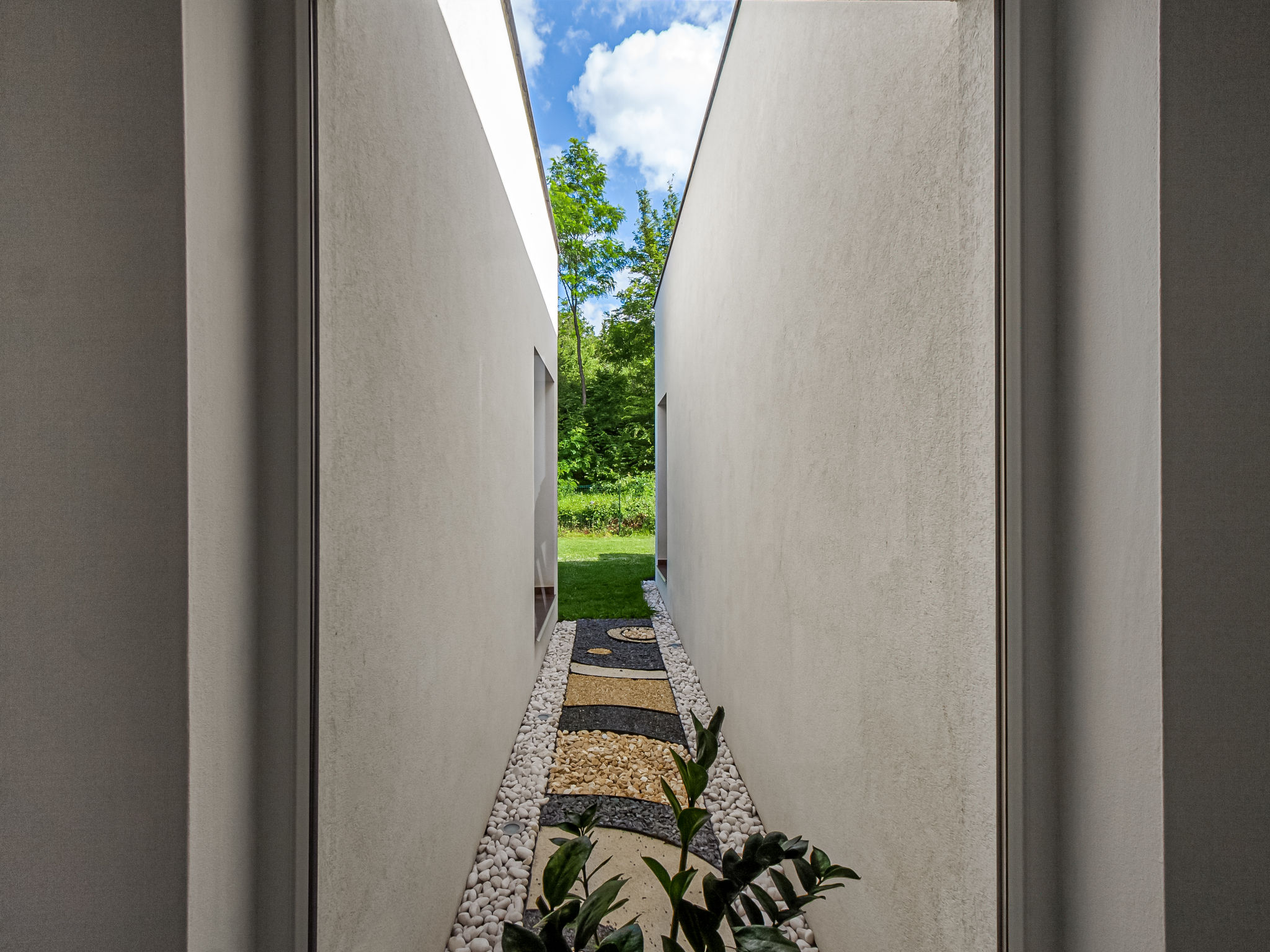 Photo of Forest Fairy