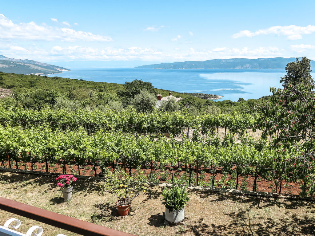 Ferienwohnung Dani Ferienwohnung in Kroatien