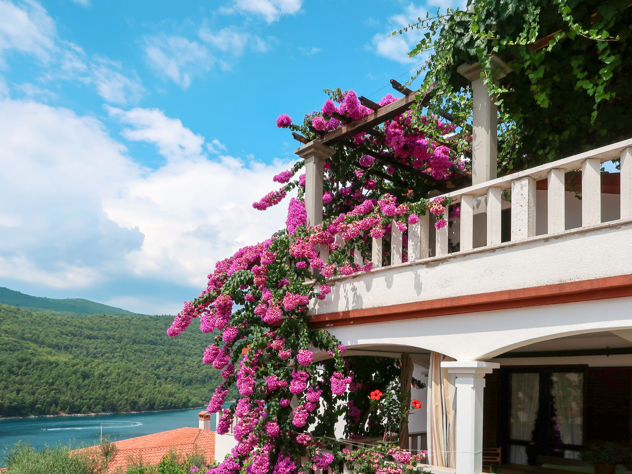 Violetta Apartment in Labin