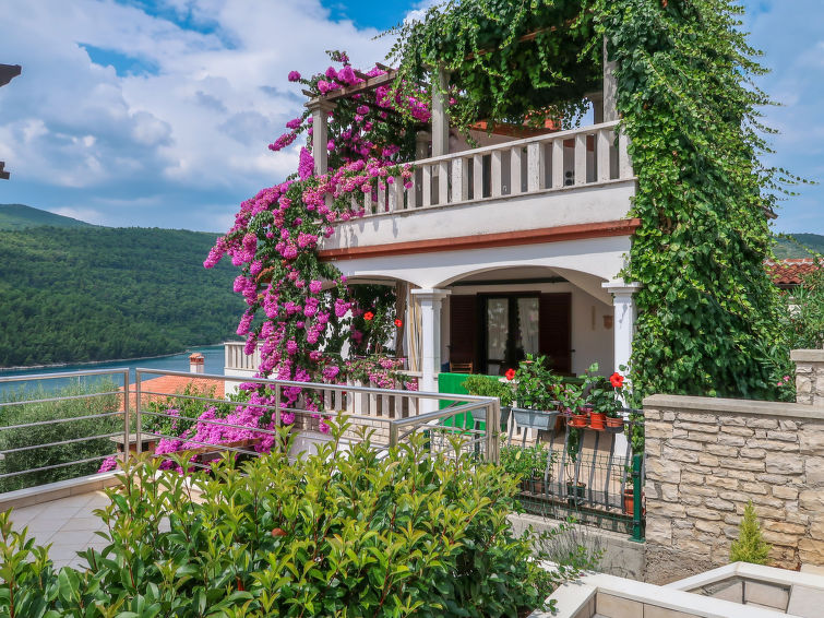 Search and Stay destination Duga Luka, Istria County - Croatia from AU$ 96. Violetta (LBN201)