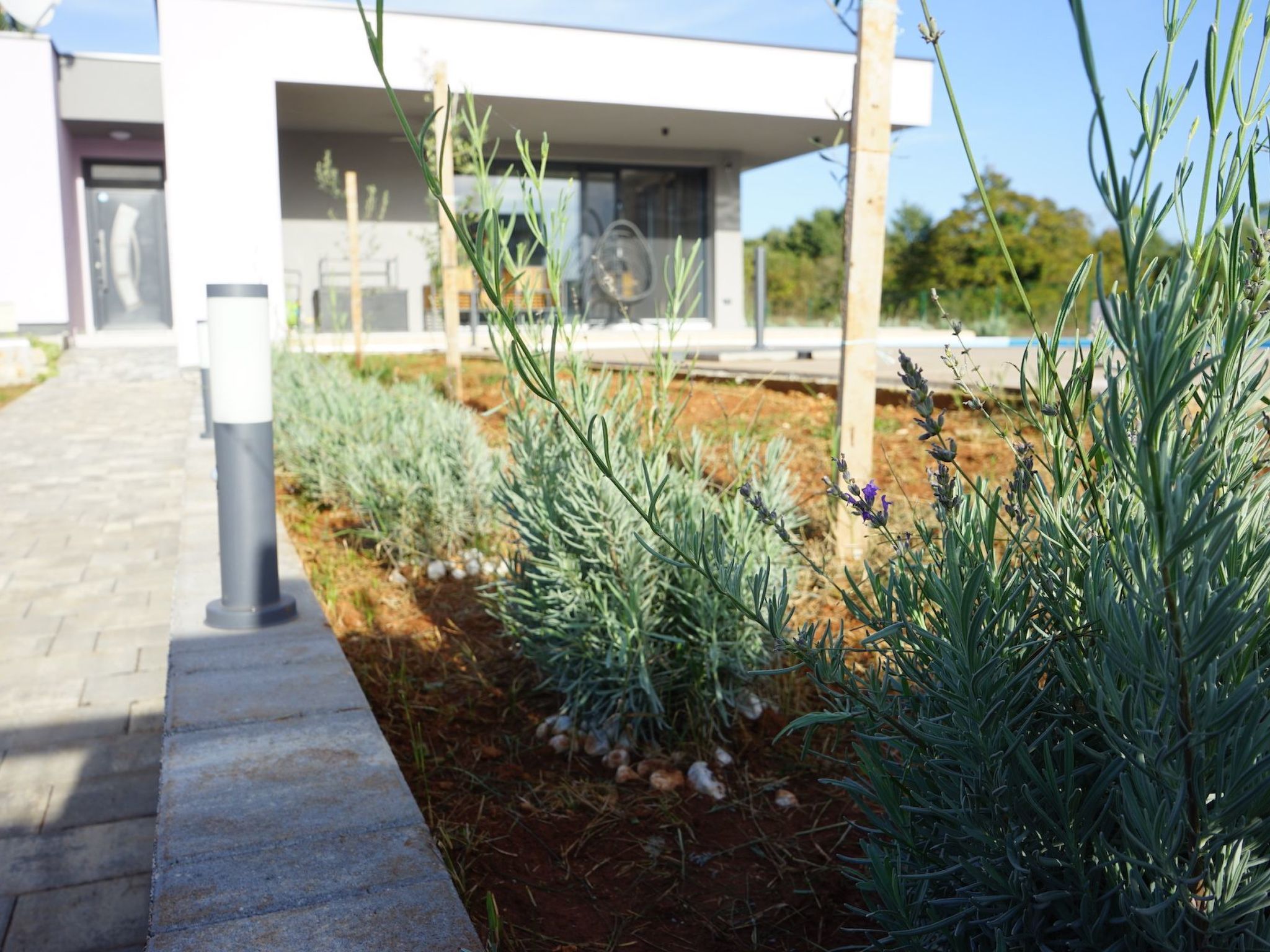 Lavender Villa-Dehors