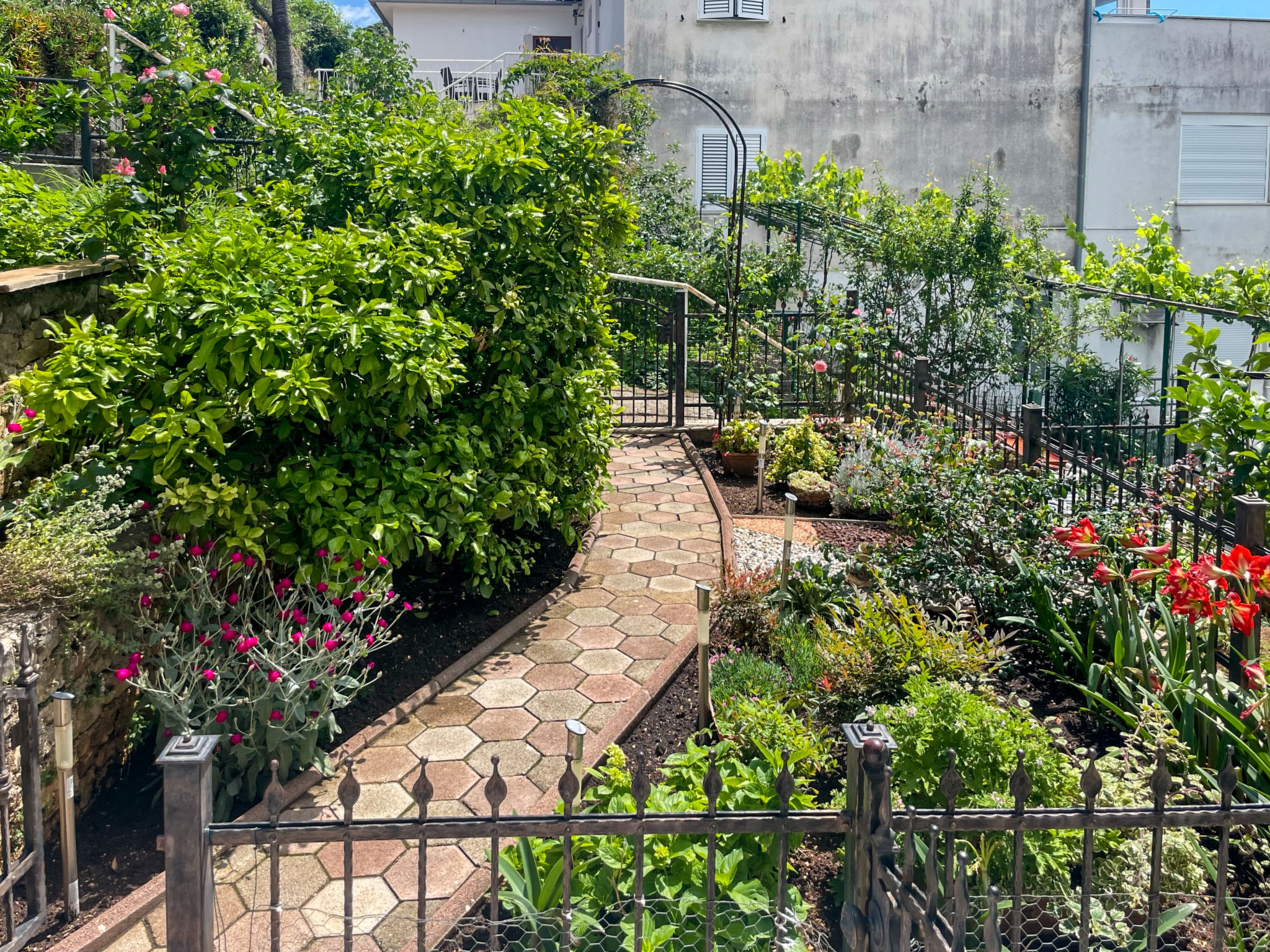 Appartement Ljubica – Extérieur, photo 16 sur 26