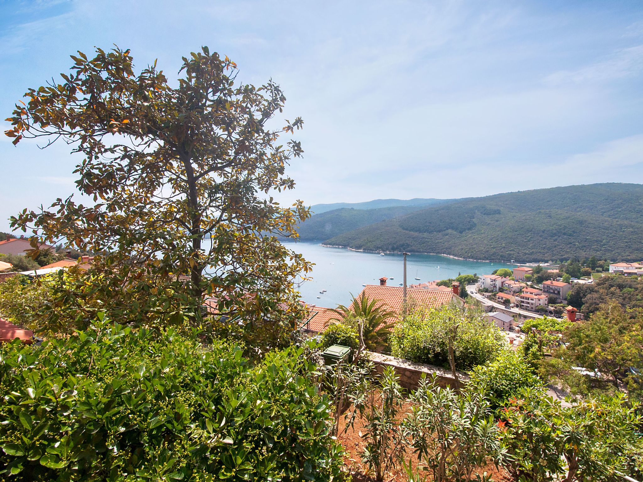 Wohnung "Olia Orange" mit Terrasse