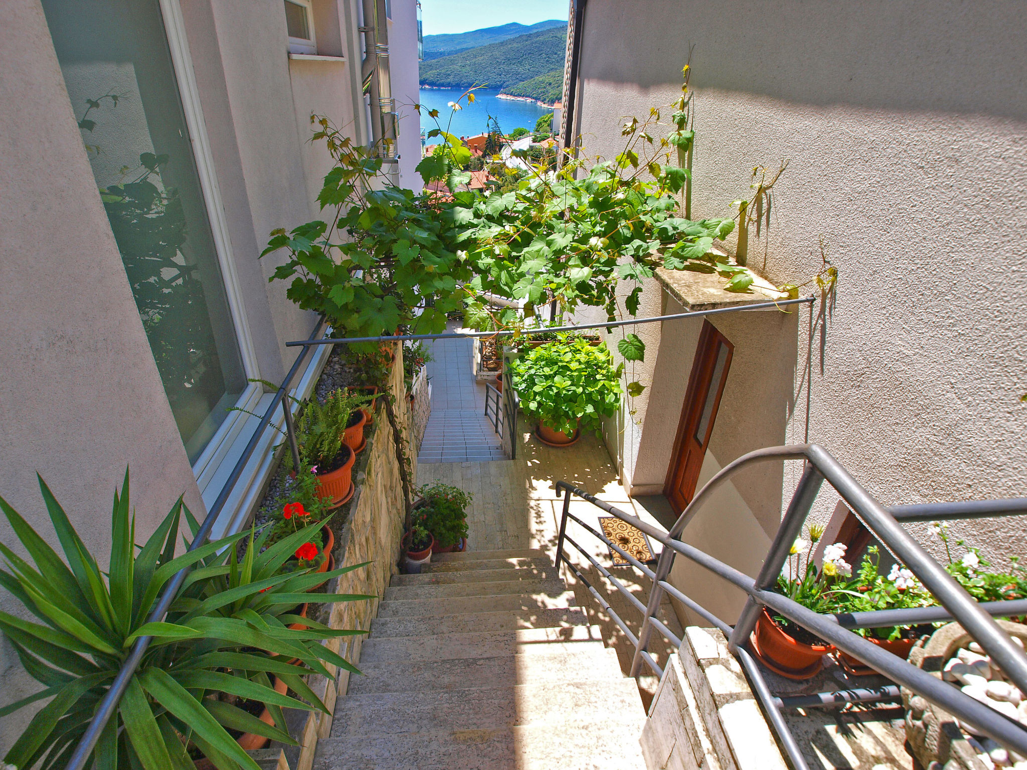 Apartment 155 - Outside