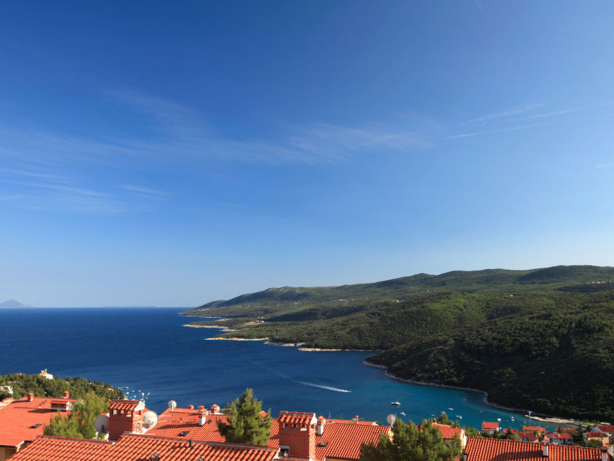 Apartment 2024 - Image-tags.info