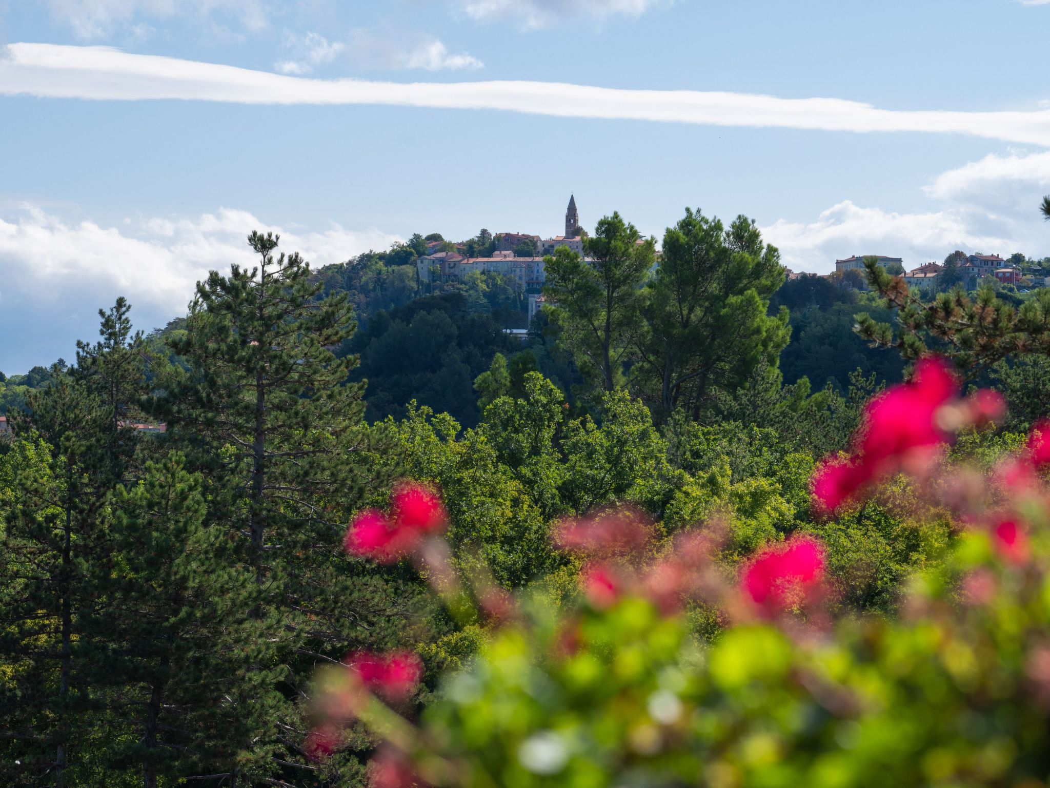 Haus Orange - Familienfreundliche Lage mit Pool-Binnen