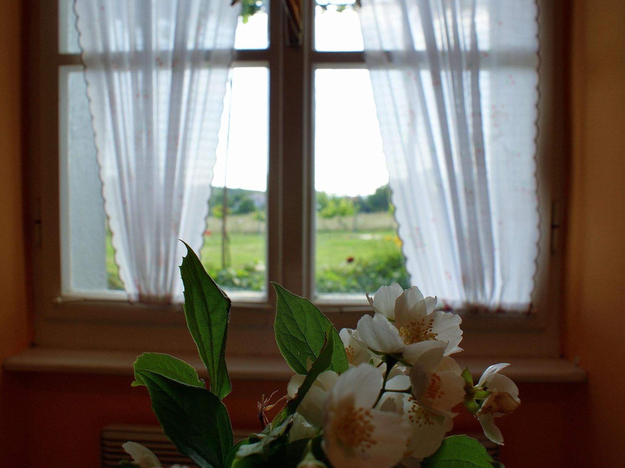 Freistehendes Haus Violeta mit weitläufigen Garten-Inside