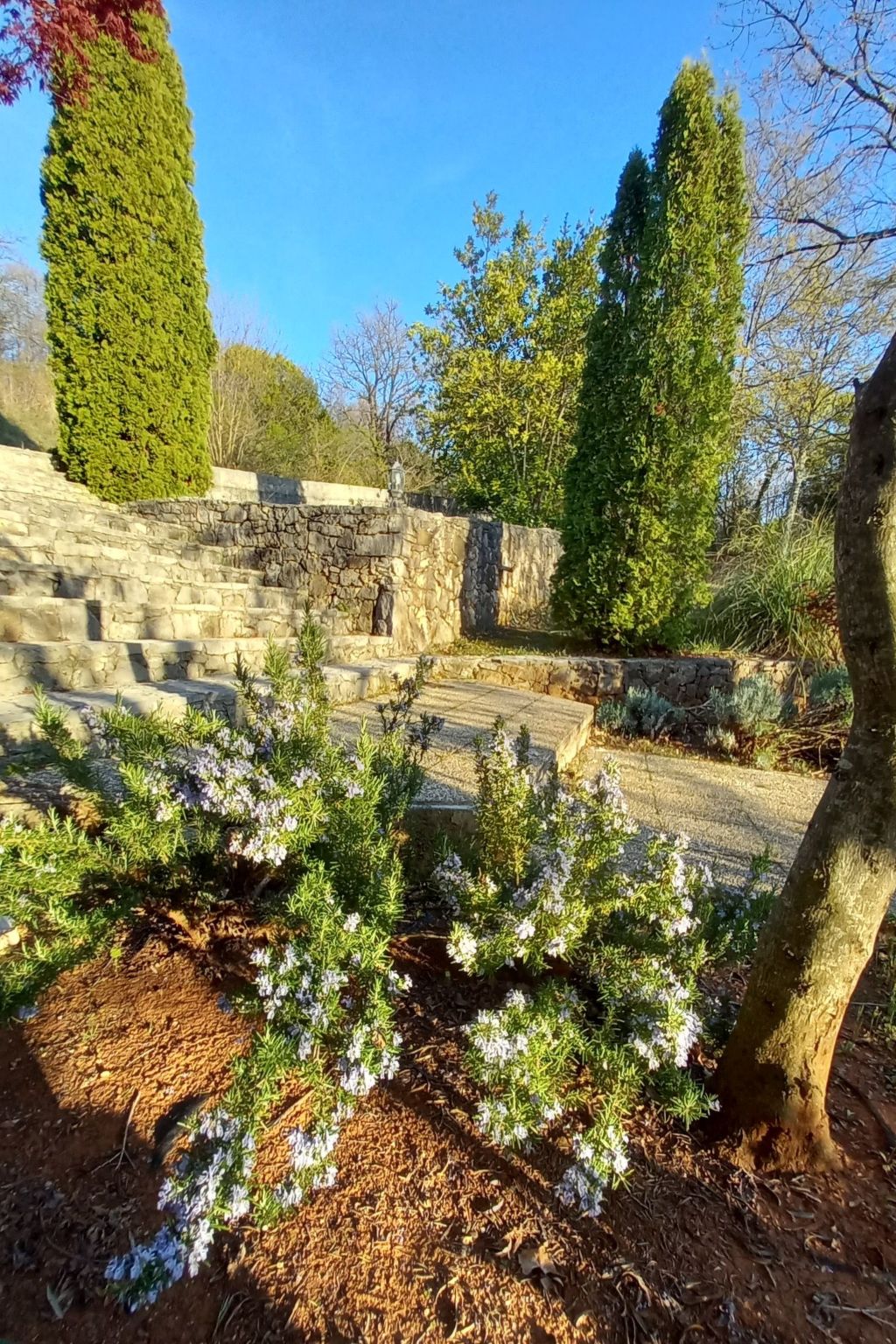 Modern ausgestattetes Ferienhaus in ruhiger Lage-Image-tags.info