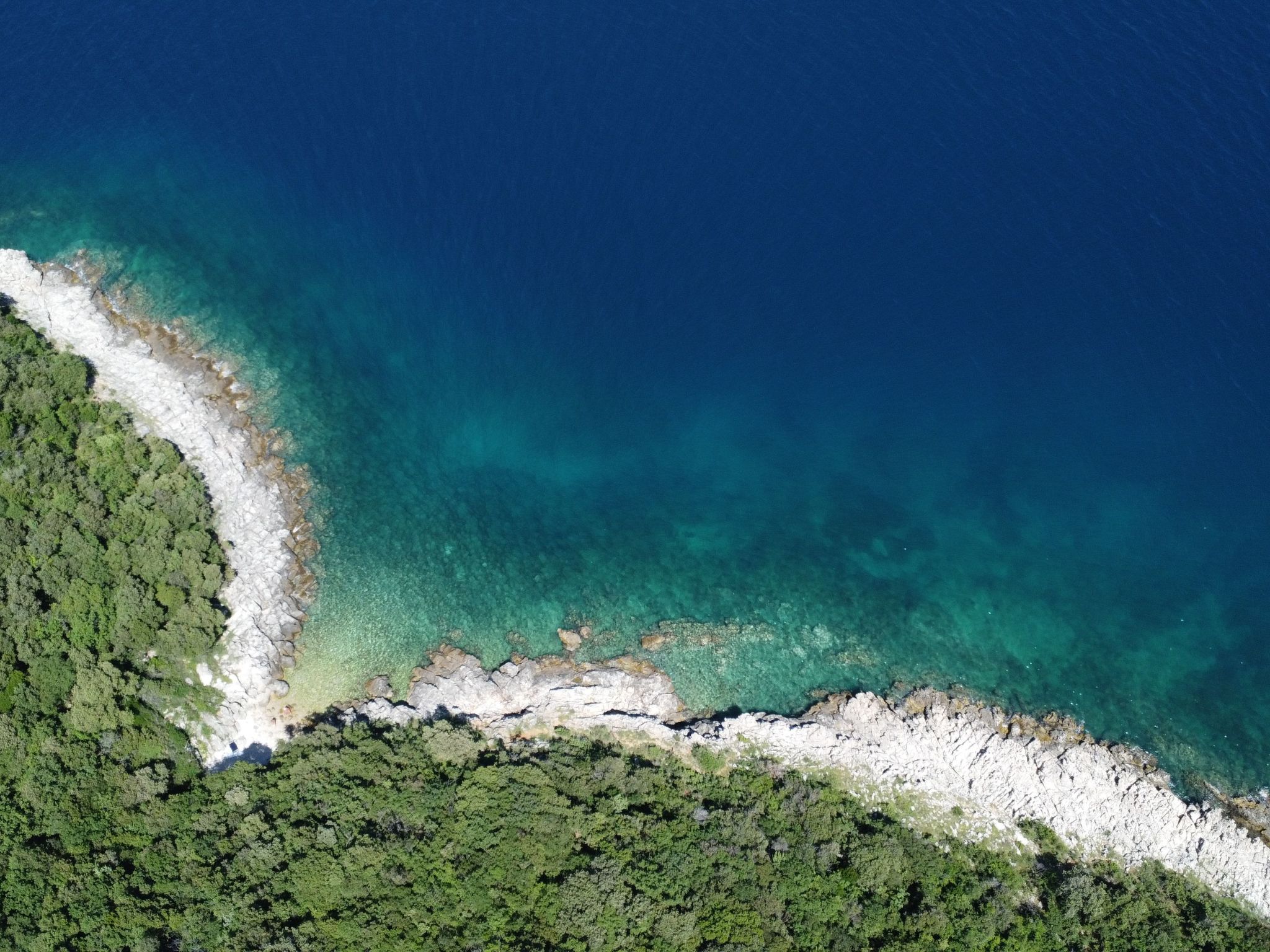 Luxury Seaview Apartment-Image-tags.info