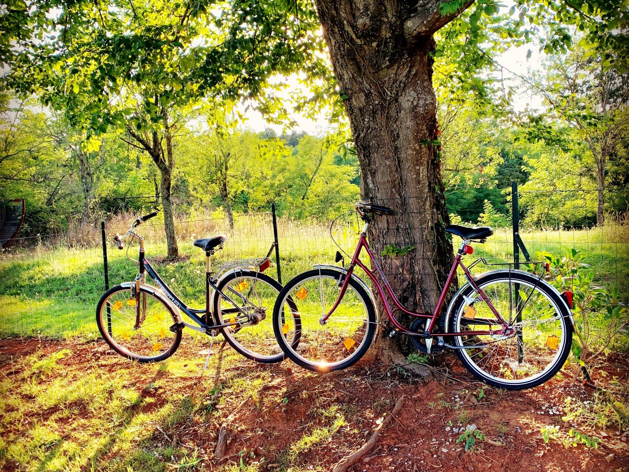 Charmante Villa mit gepflegtem Garten und beheiztem Pool