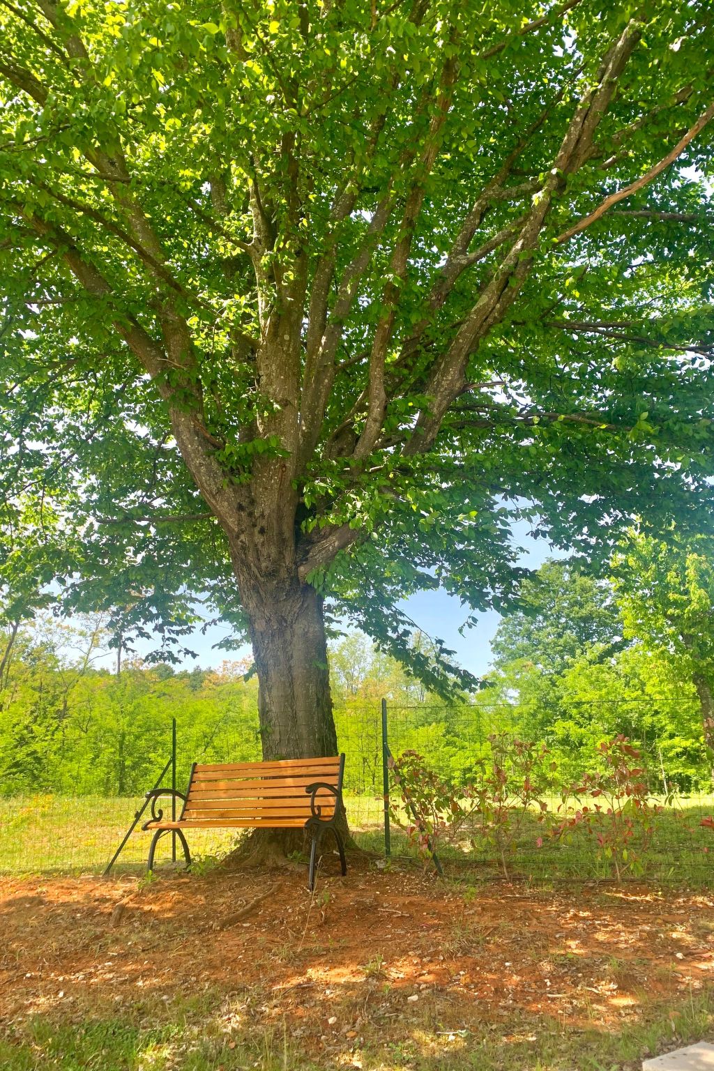 Charmante Villa mit gepflegtem Garten und beheiztem Pool-Dedans