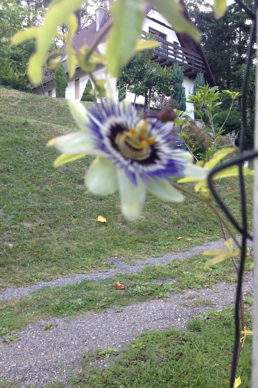 Direkt am Strand-Image-tags.info