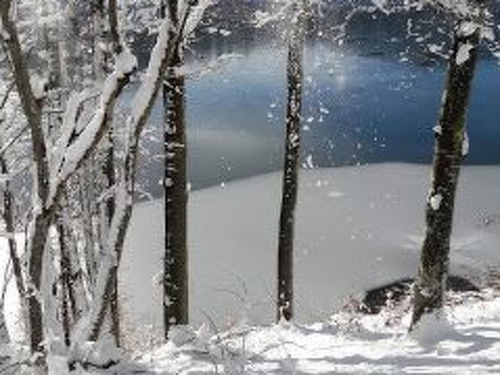 Direkt am Strand-Image-tags.info